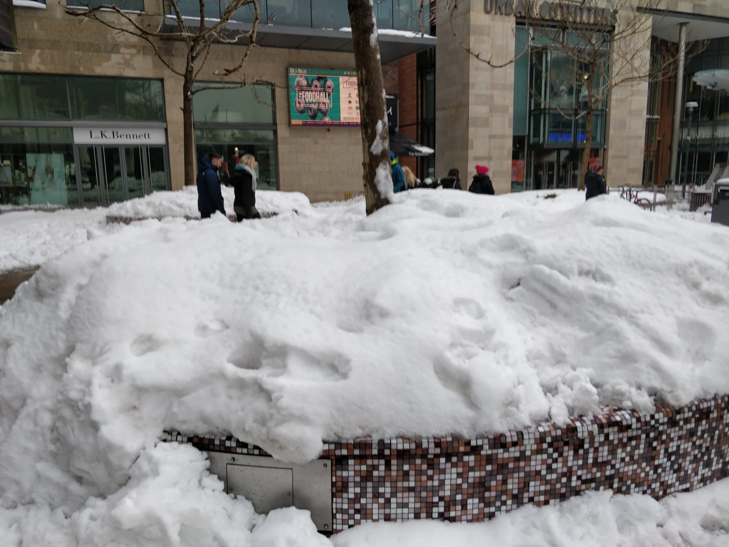 IMG_20180303_131846[1].jpg