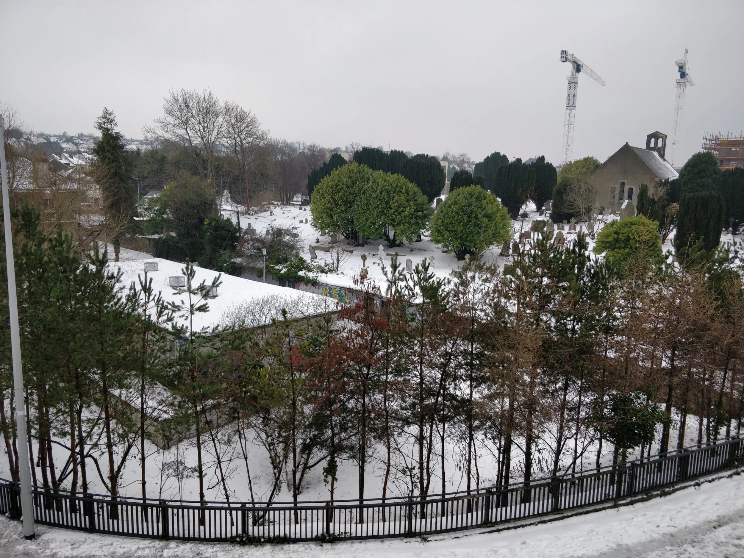 IMG_20180303_133820[1].jpg