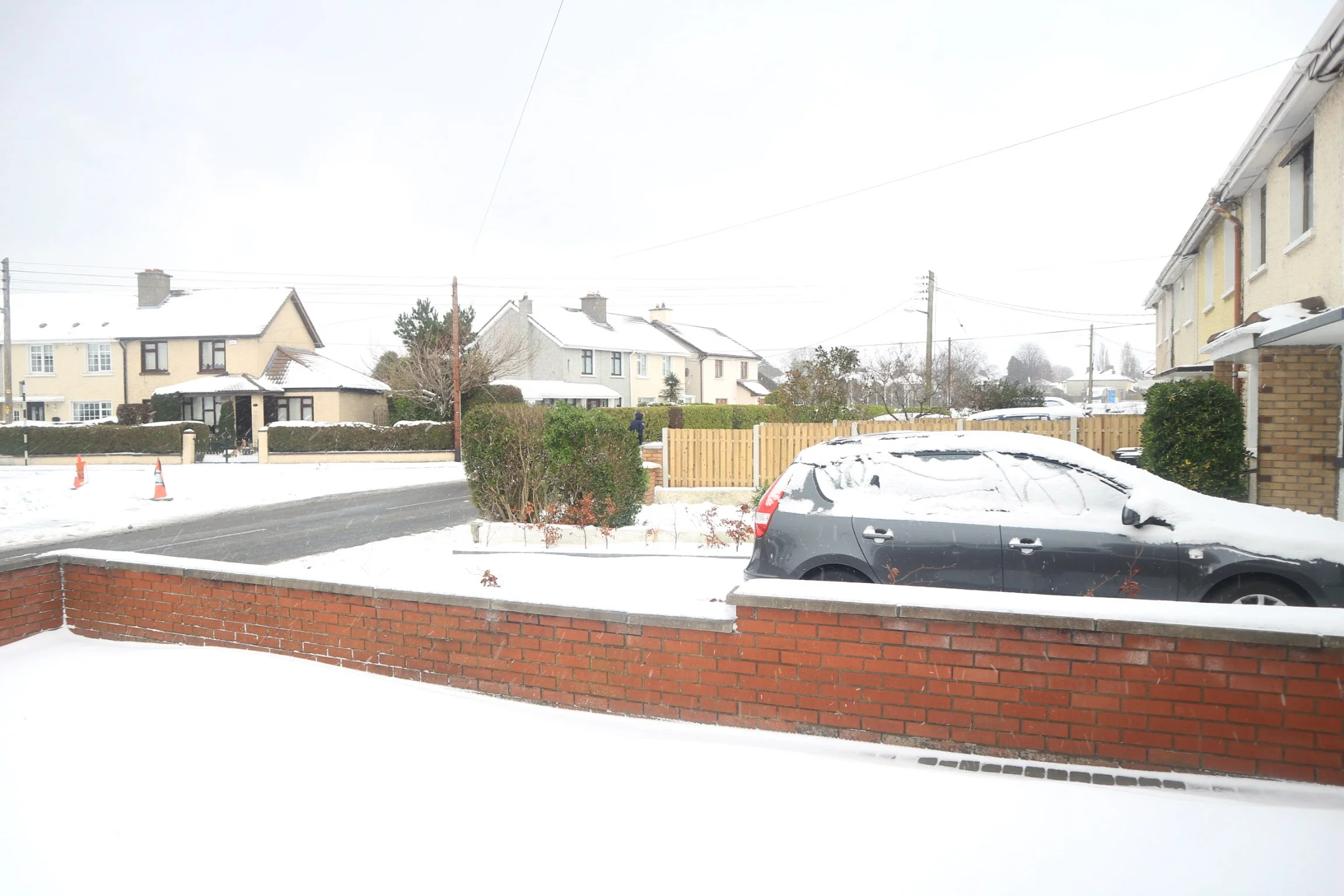 20180301131325_IMG_0120[1].jpg