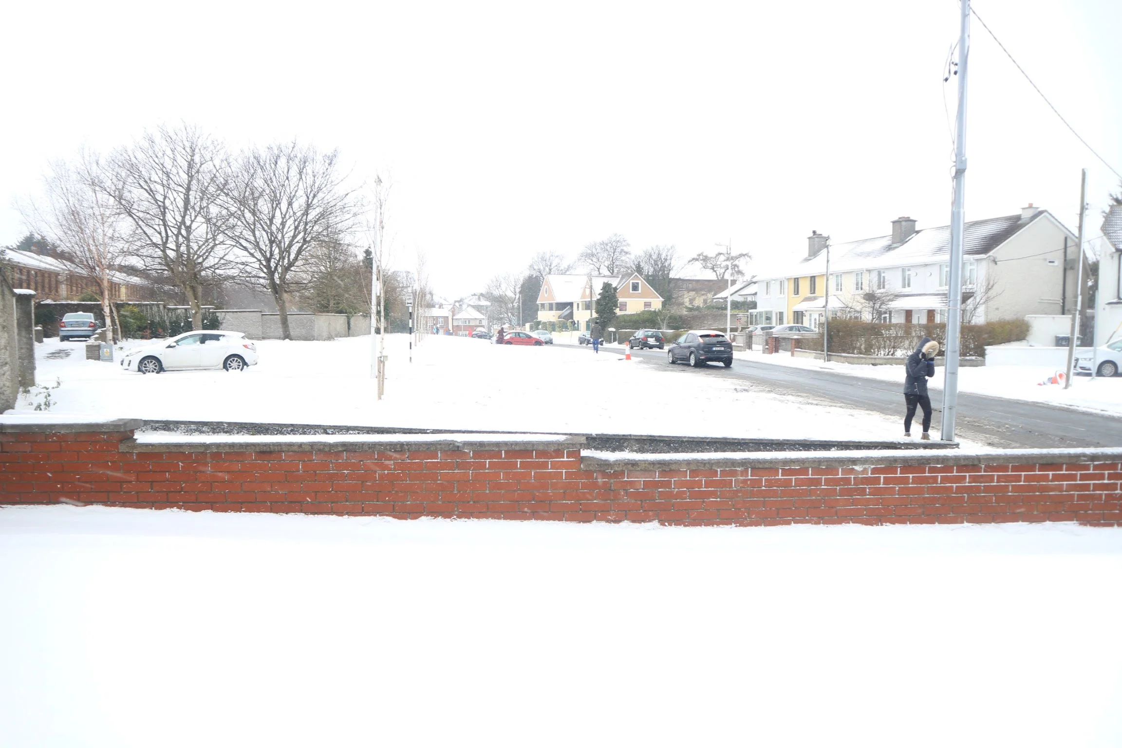 20180301131331_IMG_0121[1].jpg