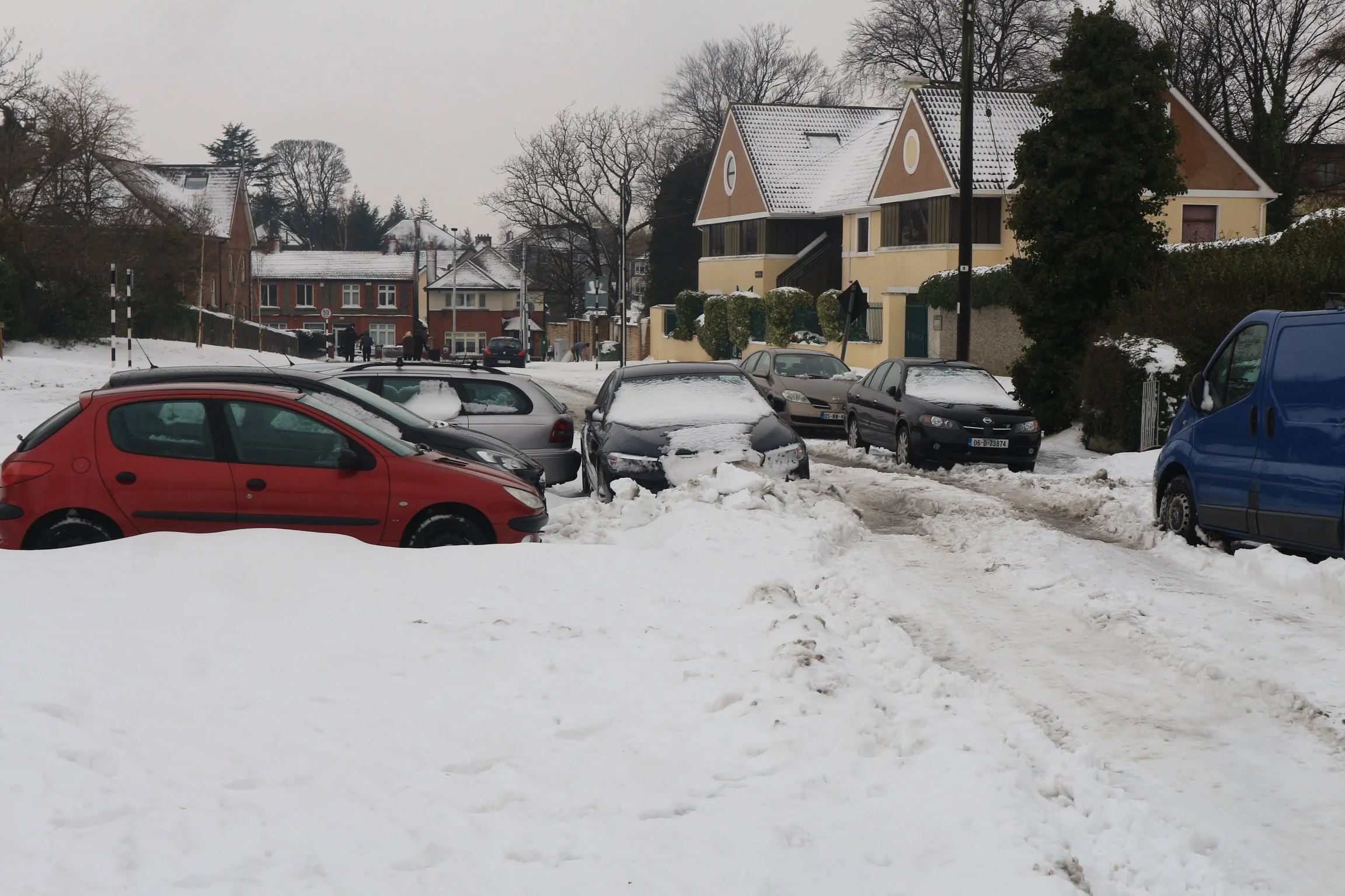 20180303125402_IMG_0368[1].jpg