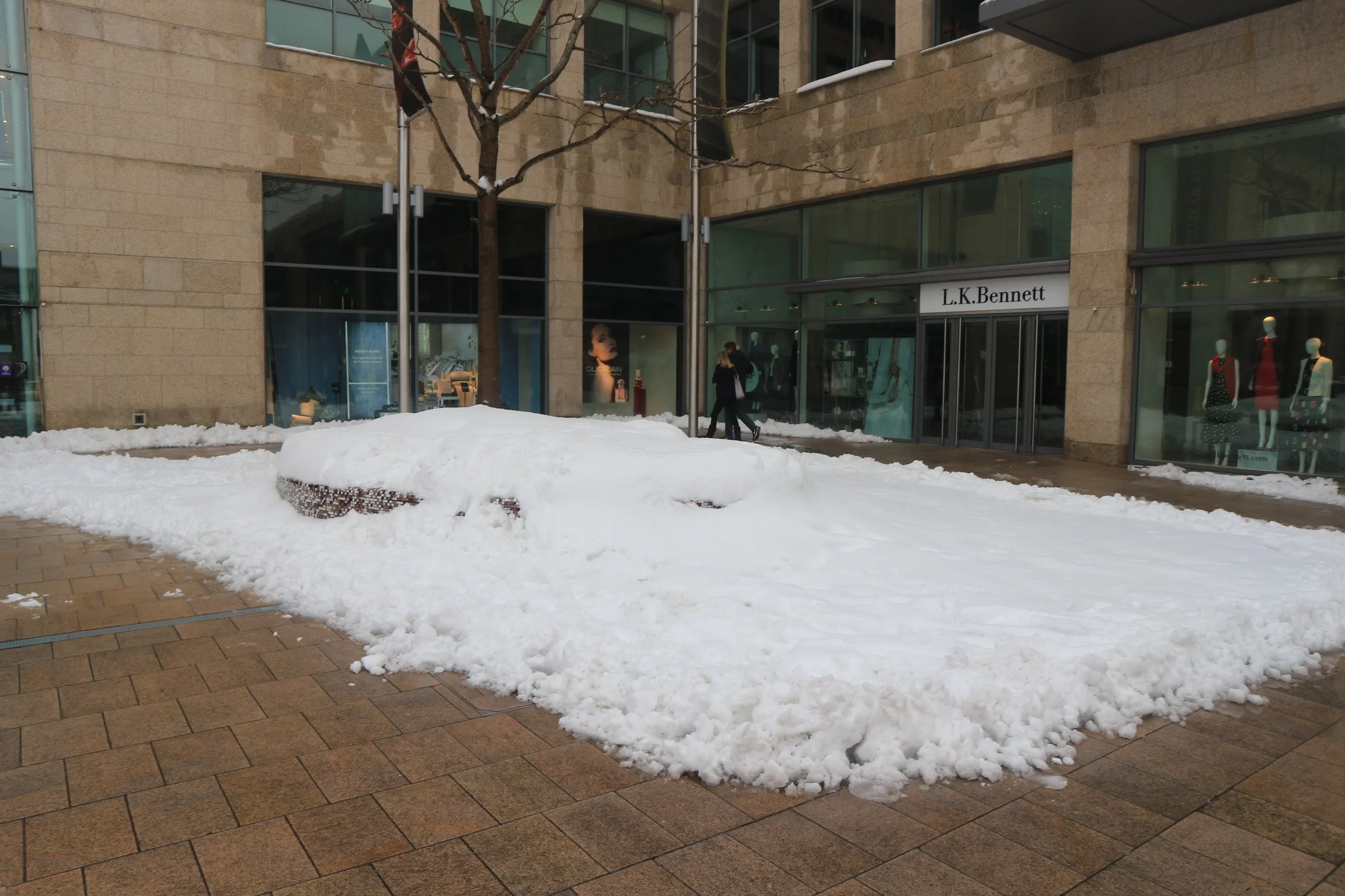 20180303131544_IMG_0414[1].jpg
