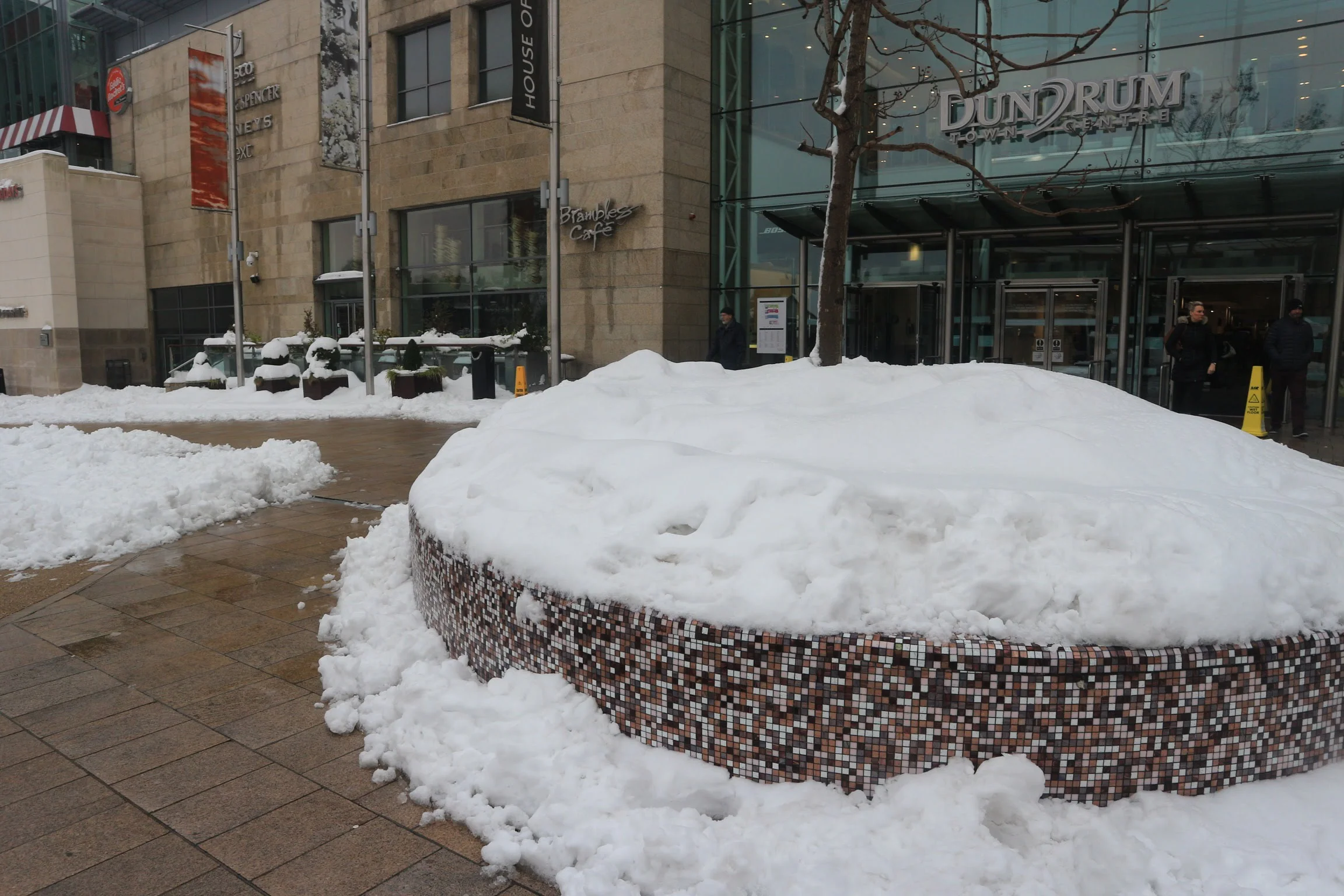 20180303131553_IMG_0416[1].jpg