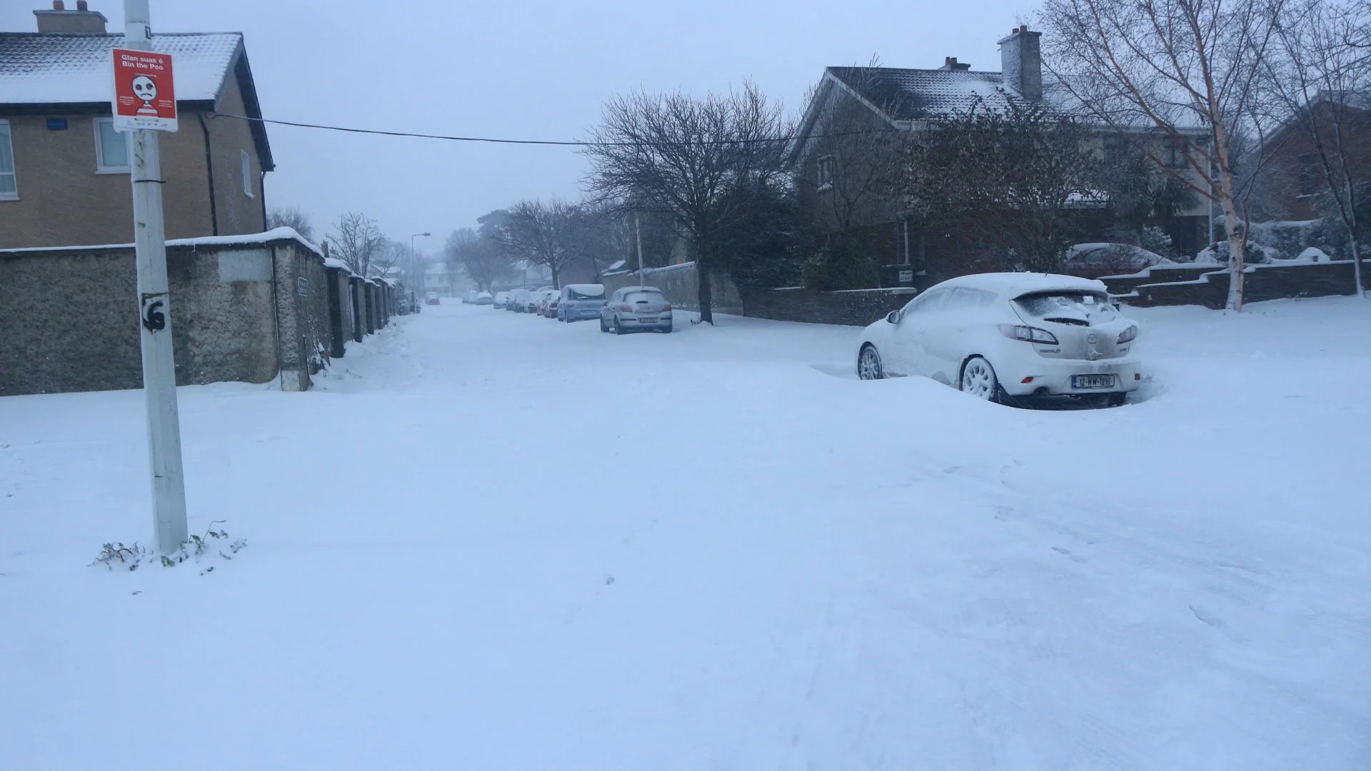 20180302184316_IMG_0203[1].jpg