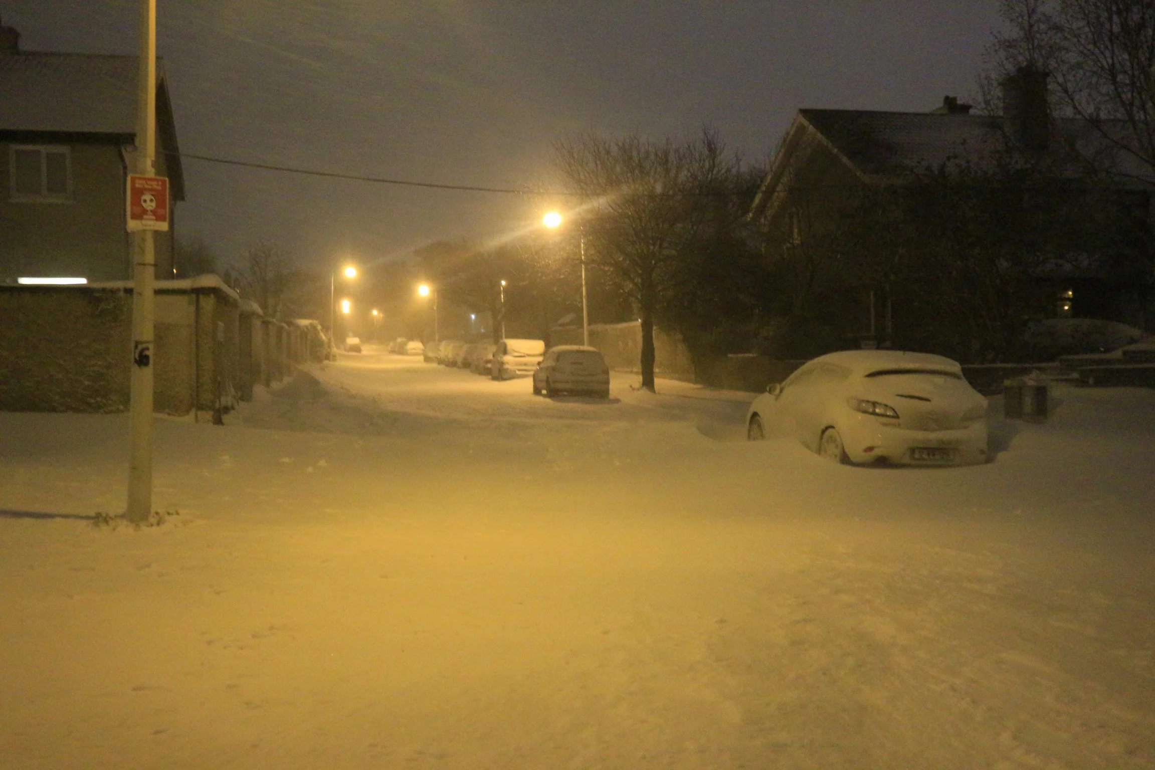 20180302223844_IMG_0239[1].jpg