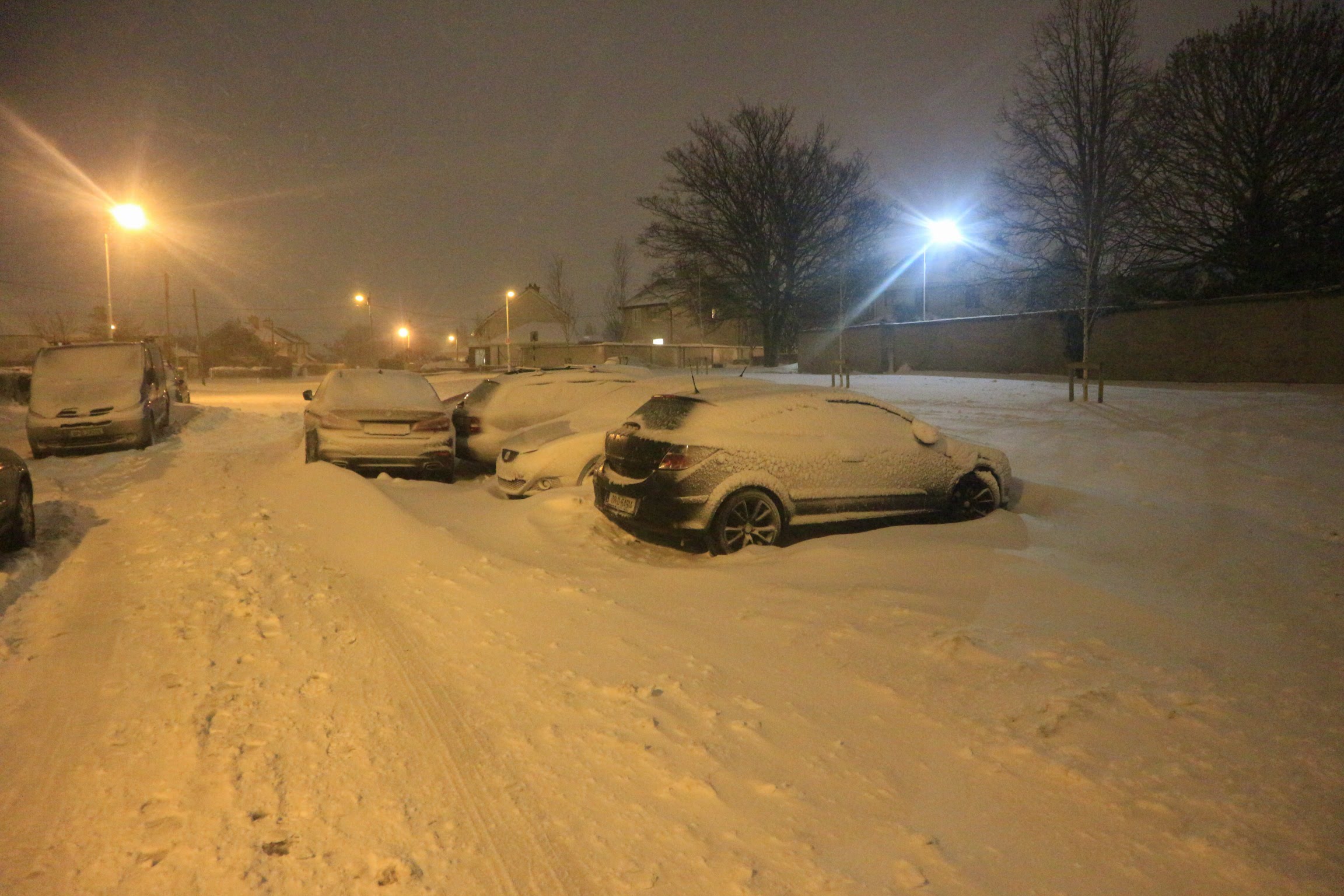 20180302224005_IMG_0249[1].jpg