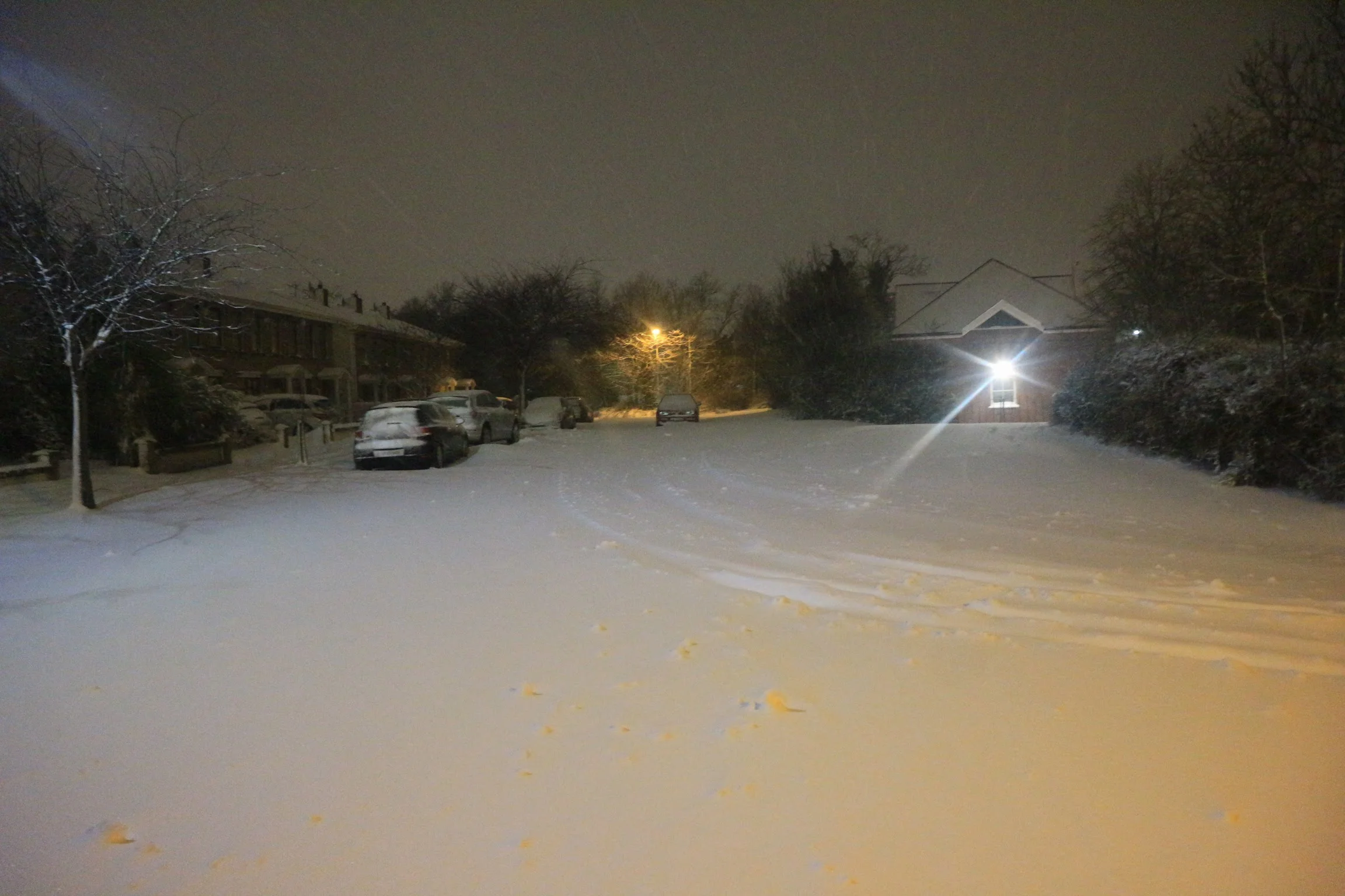 20180302224116_IMG_0257[1].jpg