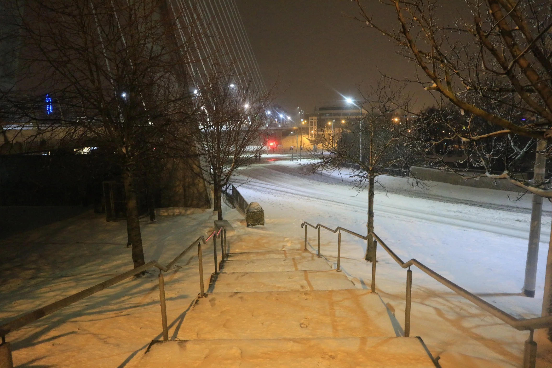 20180302225038_IMG_0290[1].jpg