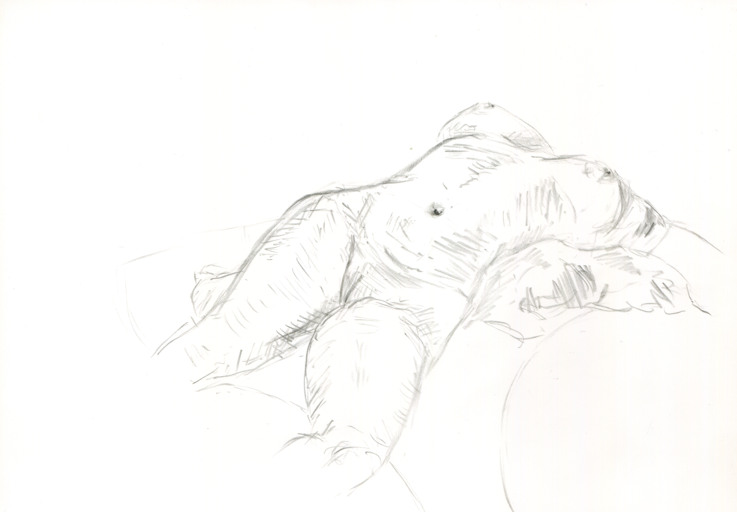 Scan 3.png