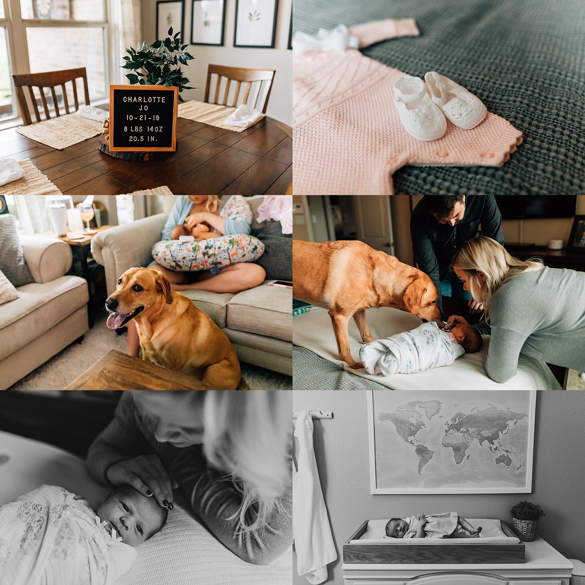 woodlands+newborn+photography