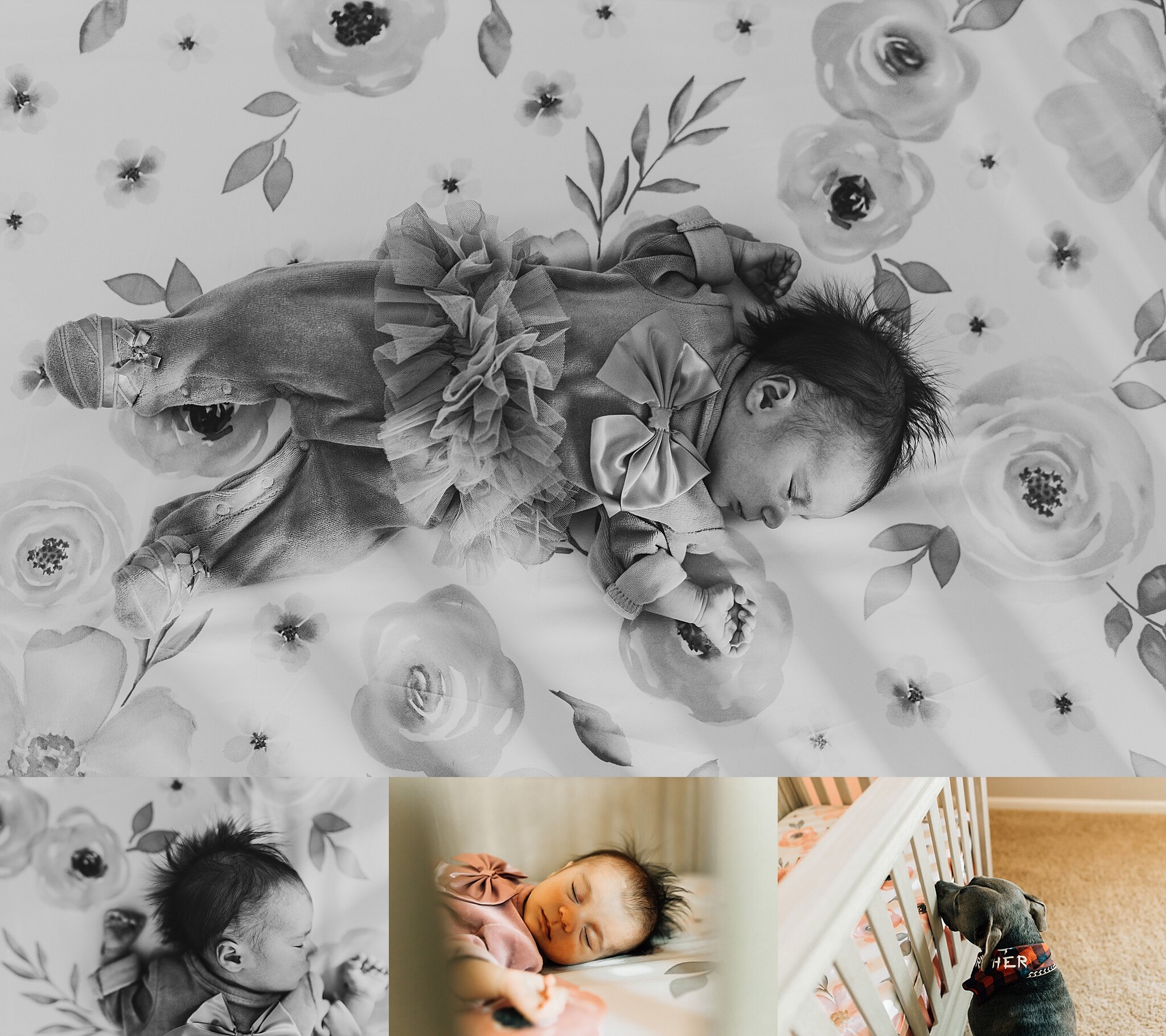 woodlands+newborn+photographer