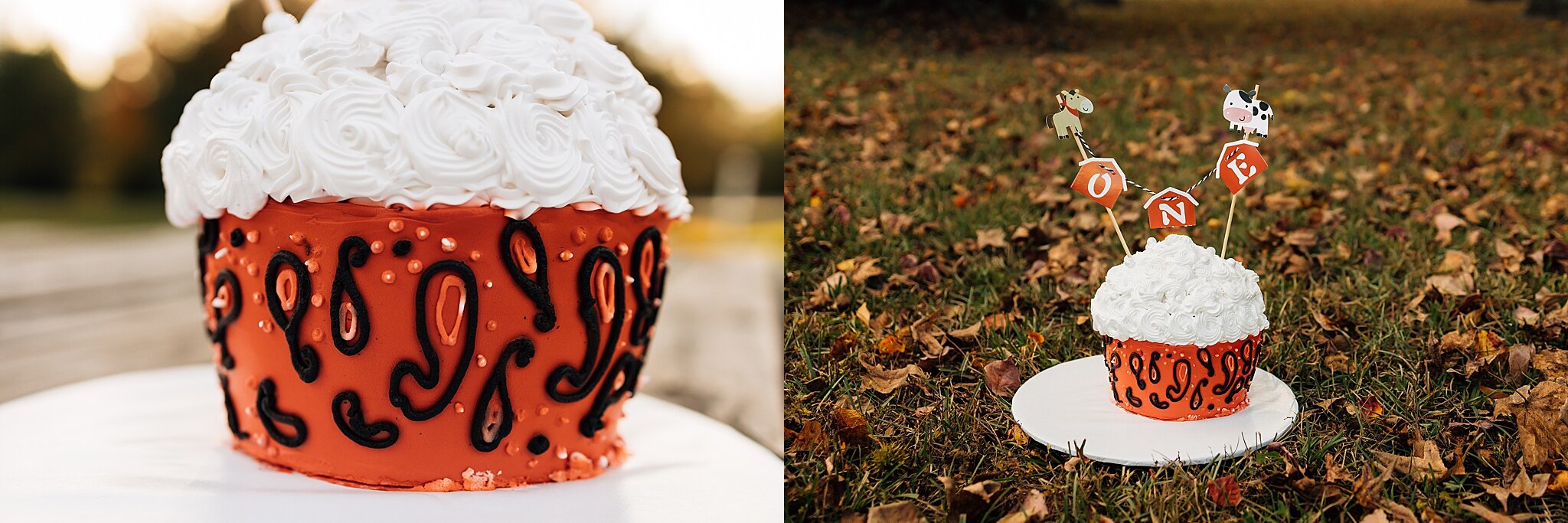 houston+smash+cake+photographer