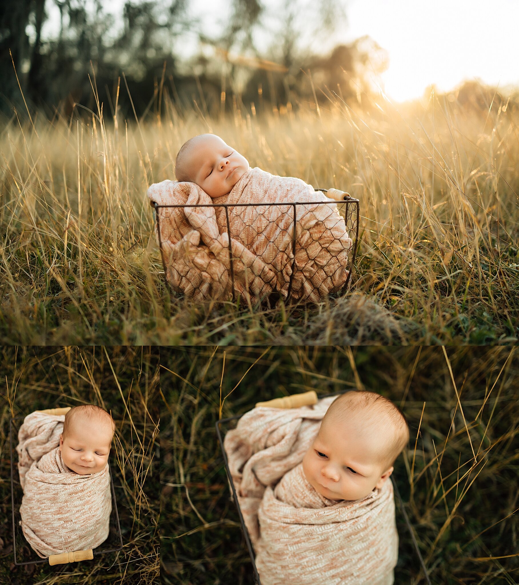 houston-newborn-photographer