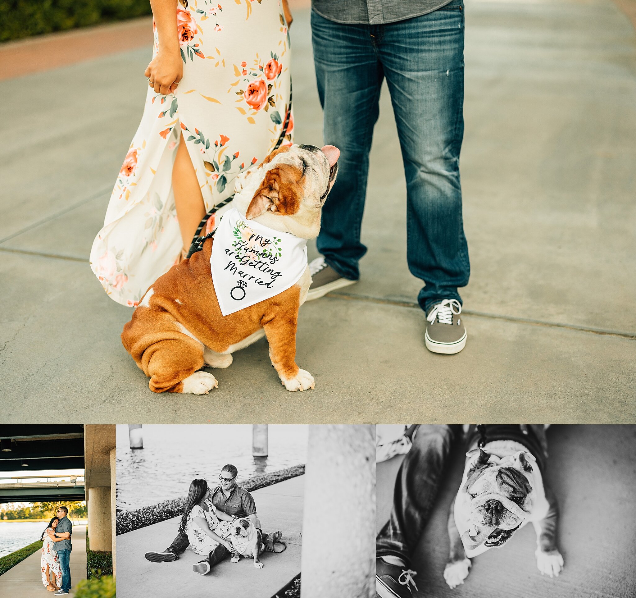 houston+engagement+photographer.jpg