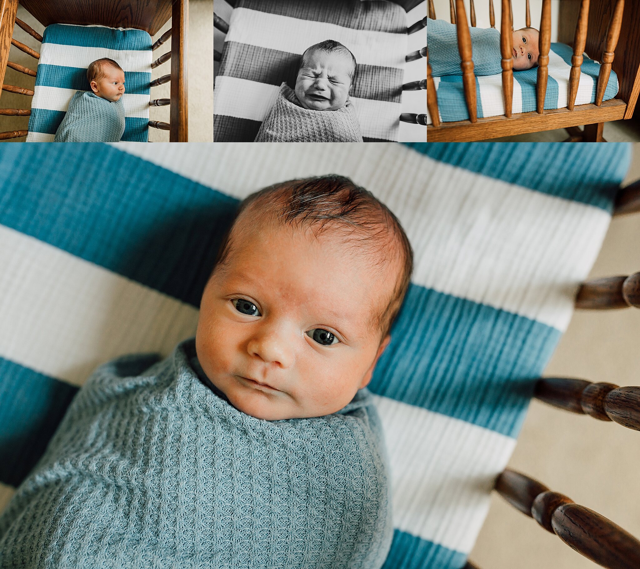 houston+newborn+photos