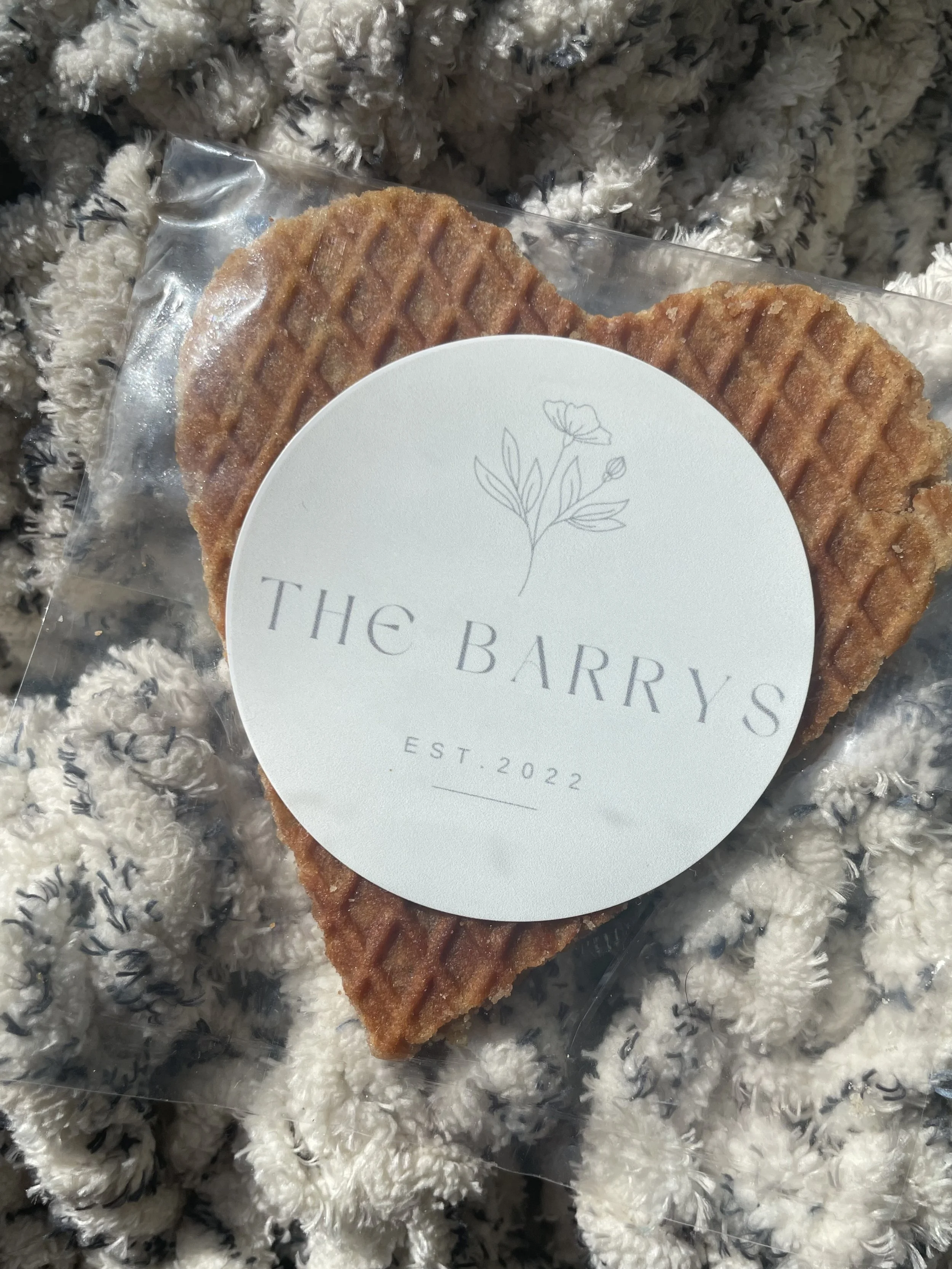 the barry stroopies.JPG