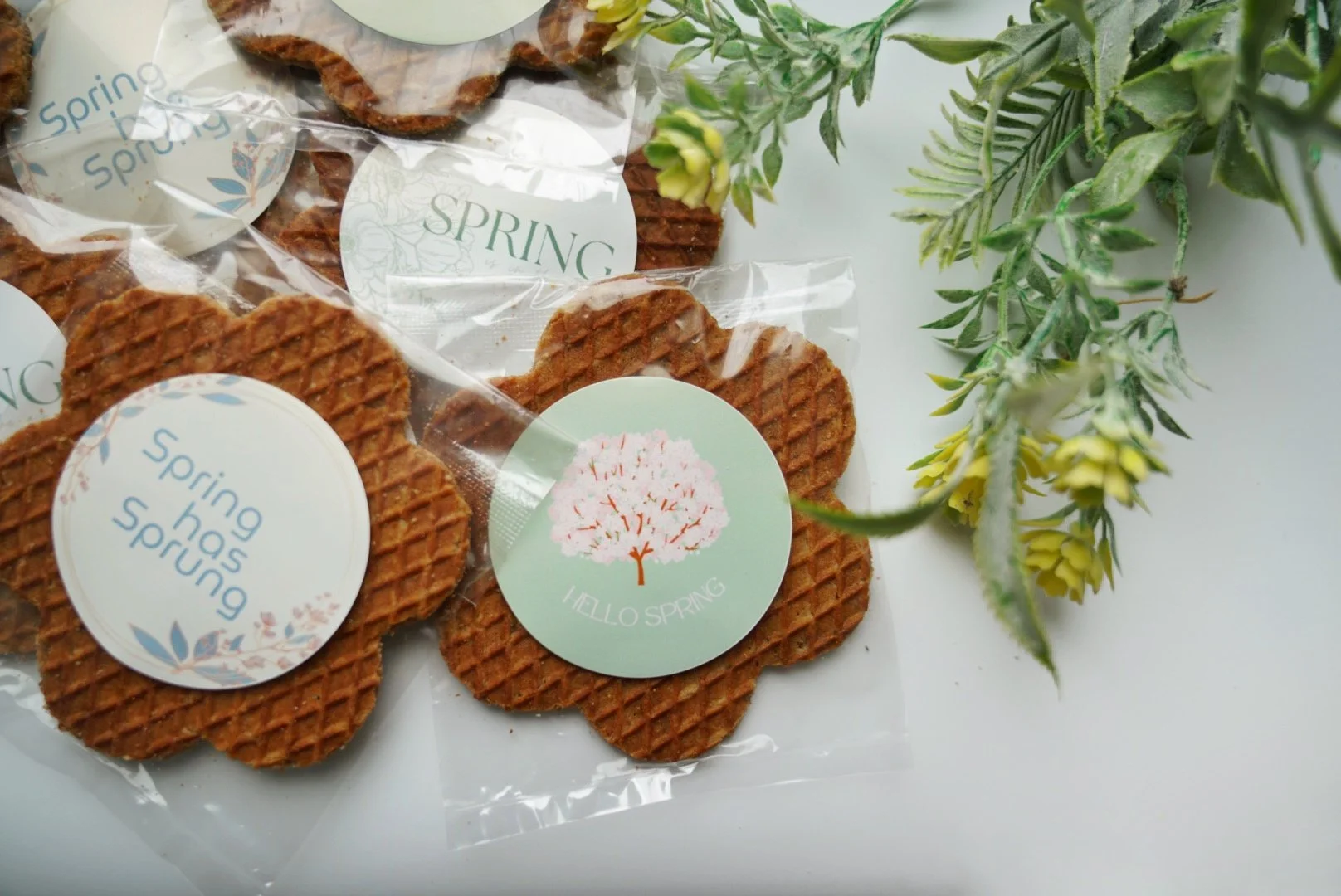 Group Stroopiegram Flowers.jpg