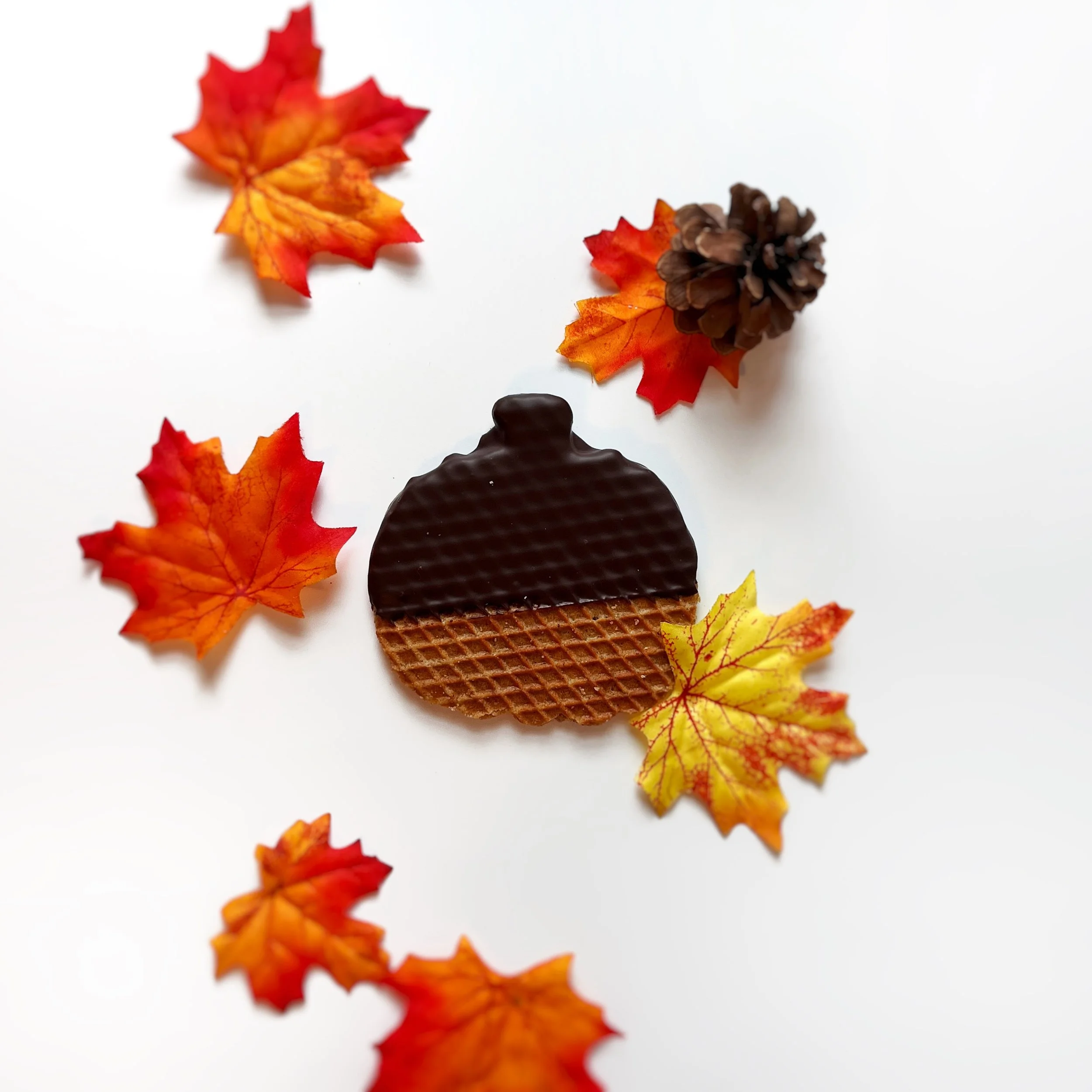 Chocolate Pumpkin.jpg