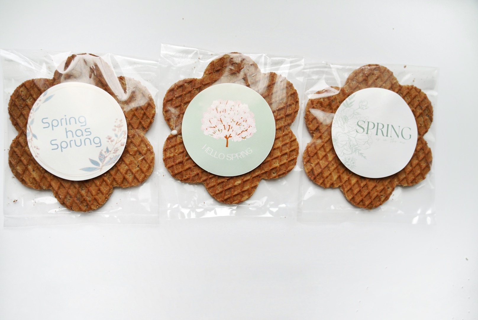 3 Stroopiegram Flowers.jpg