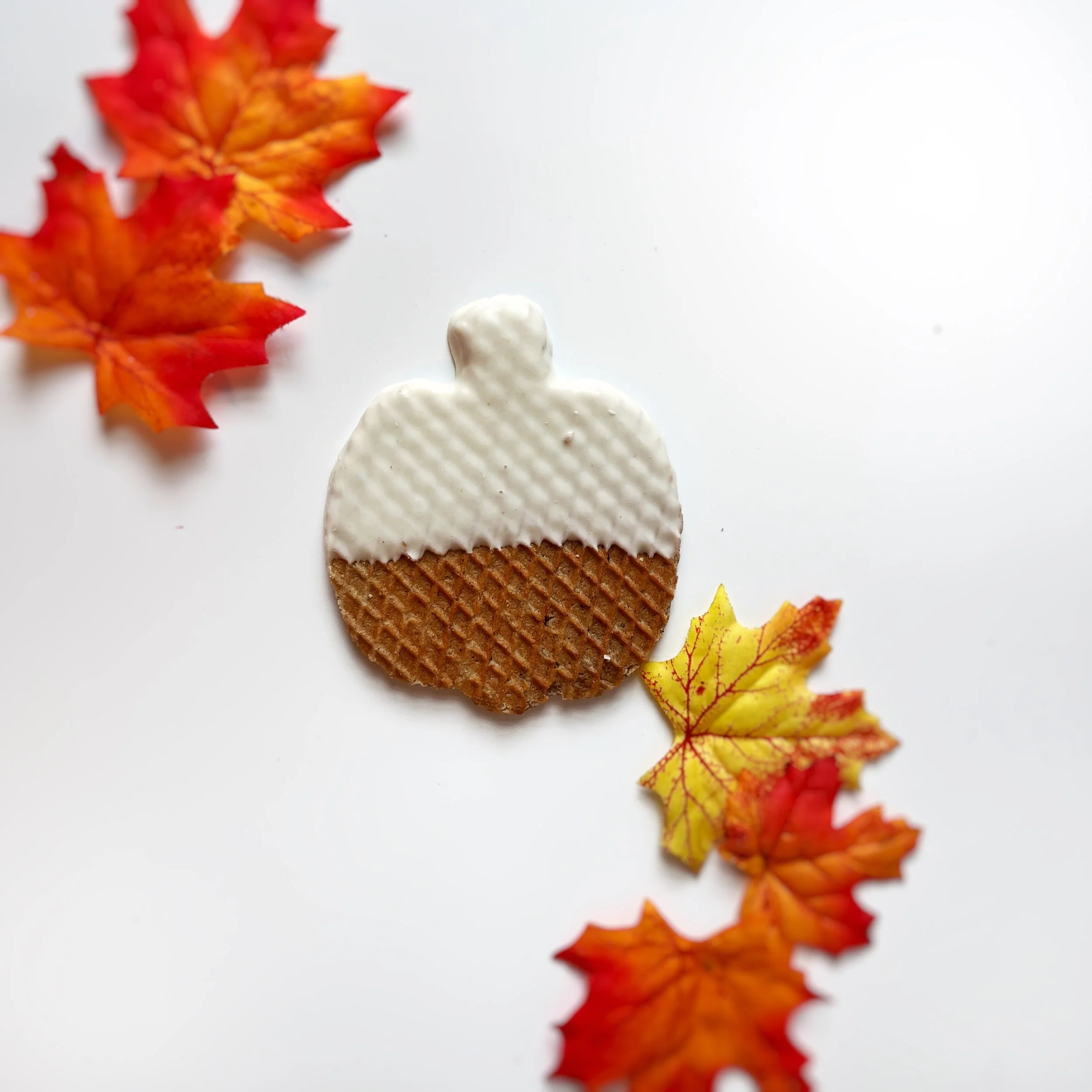 White Chocolate Pumpkin.jpg