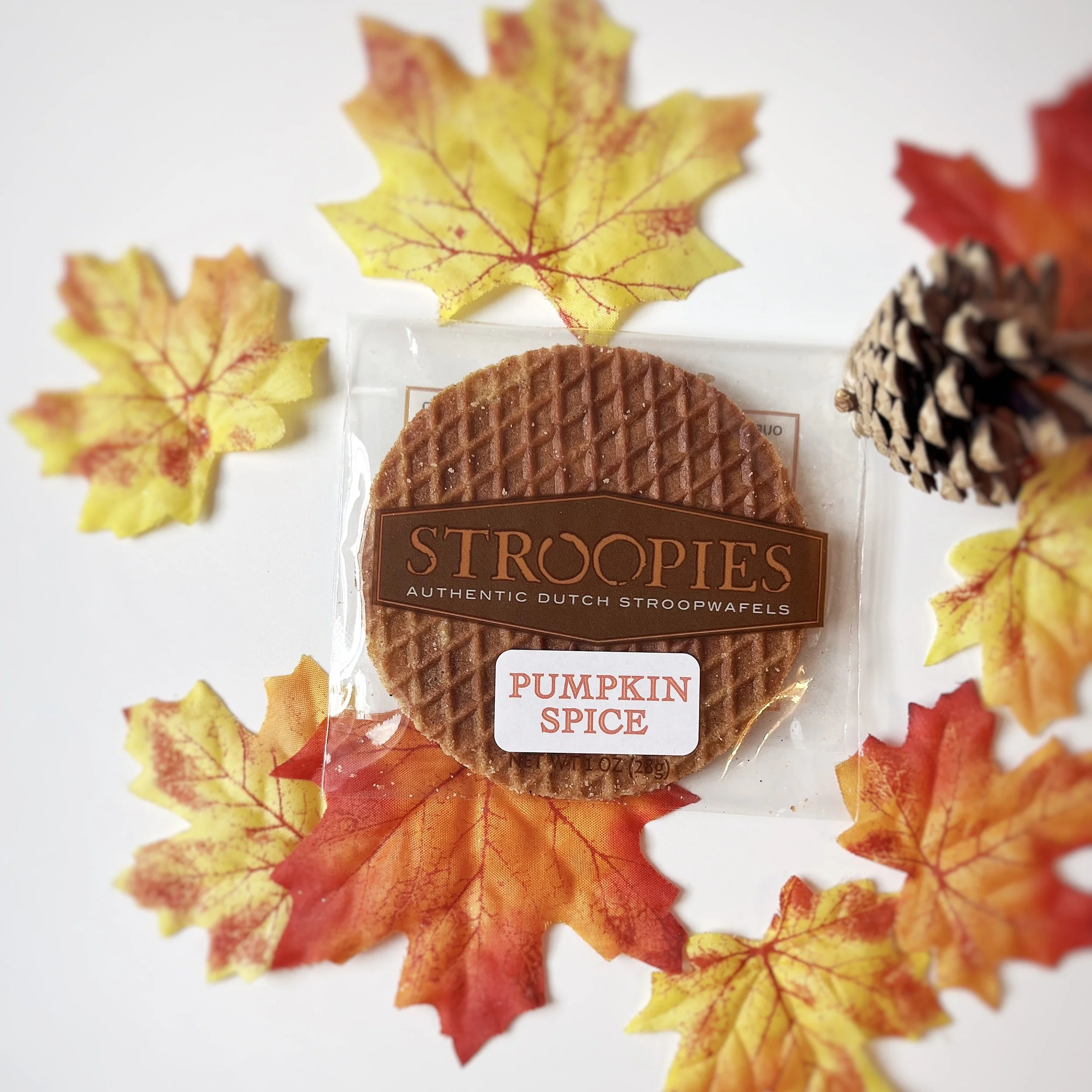 Square PS Single.jpg