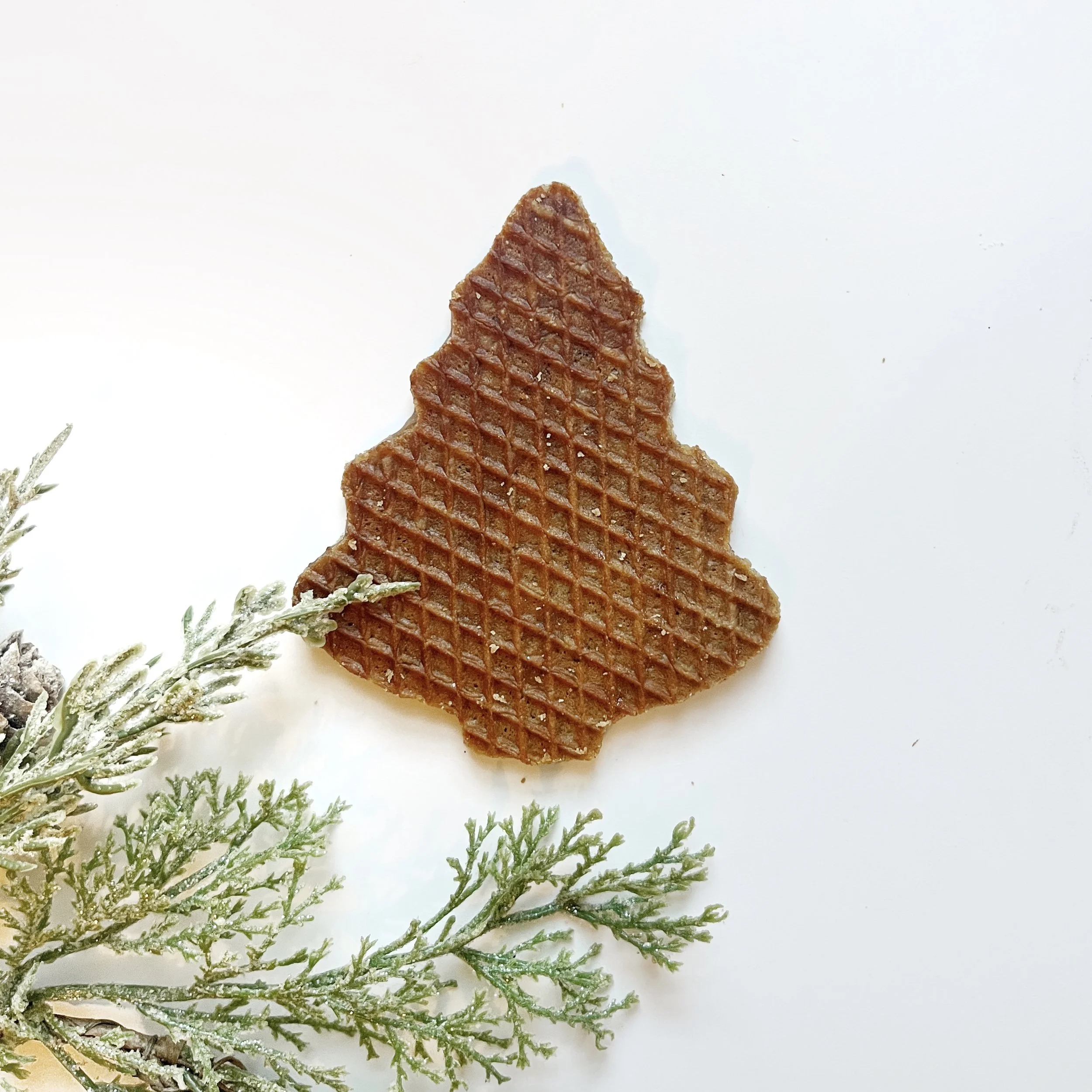 Square Trad Tree.jpg