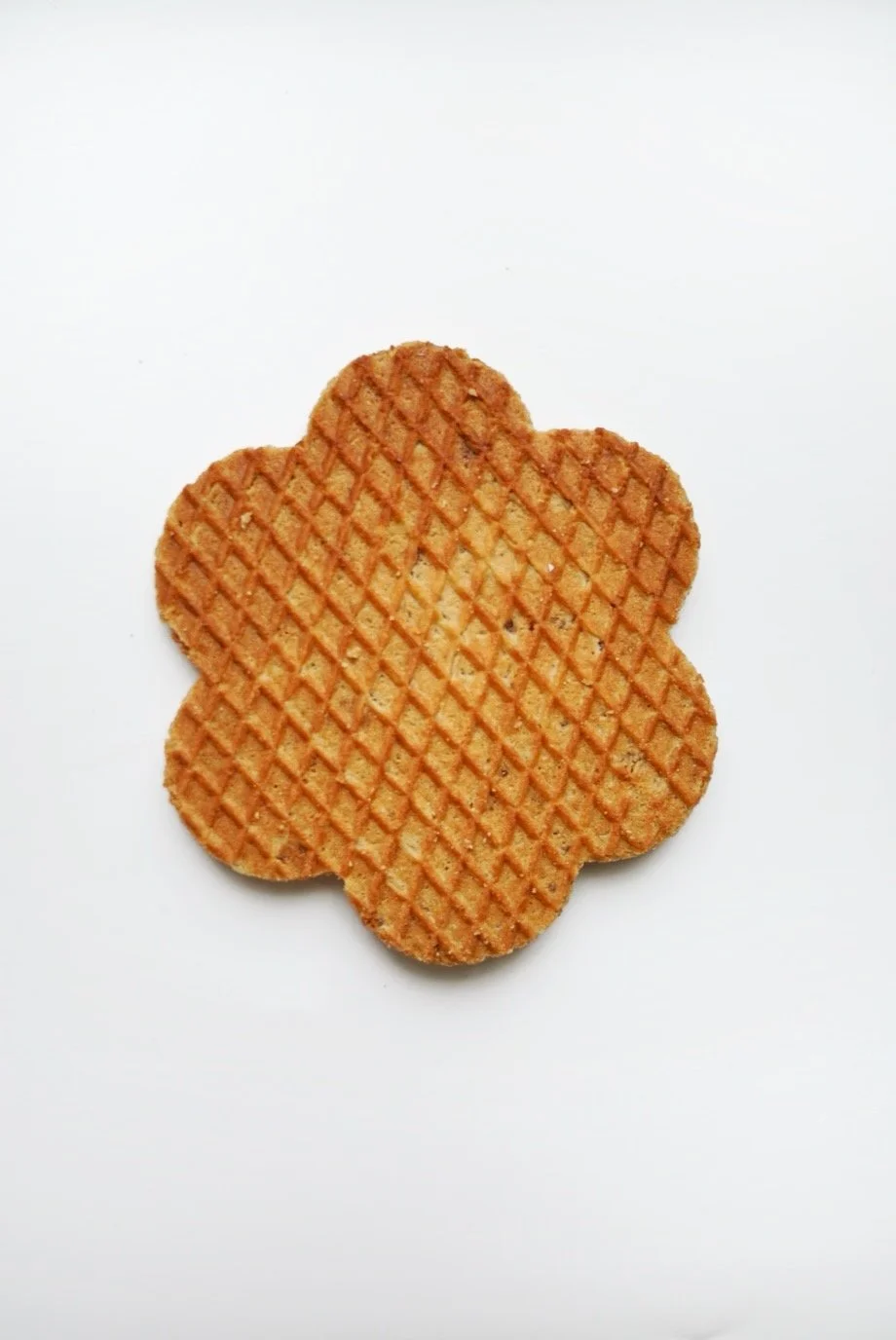 Traditional Flower.jpg