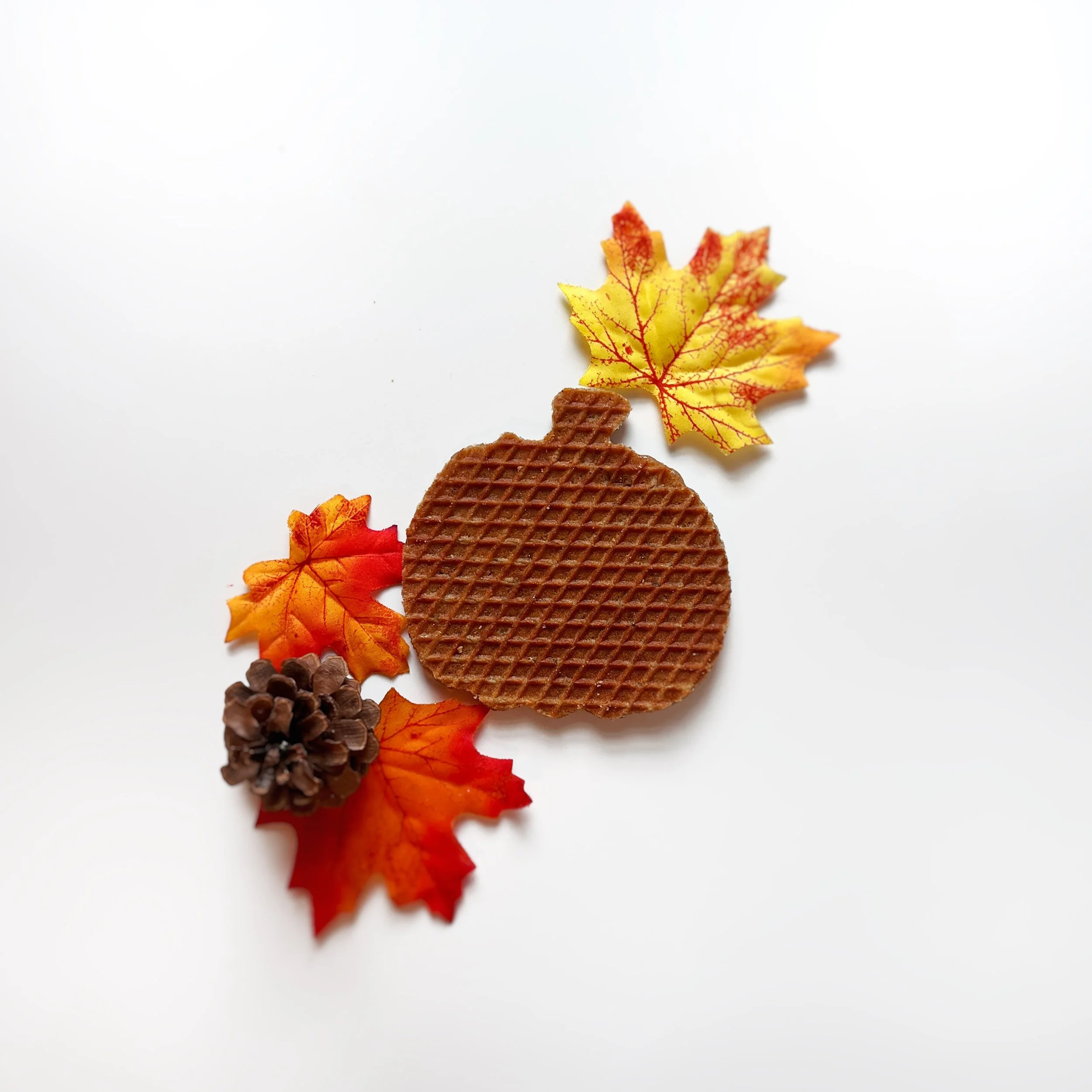 Traditional Pumpkin.jpg