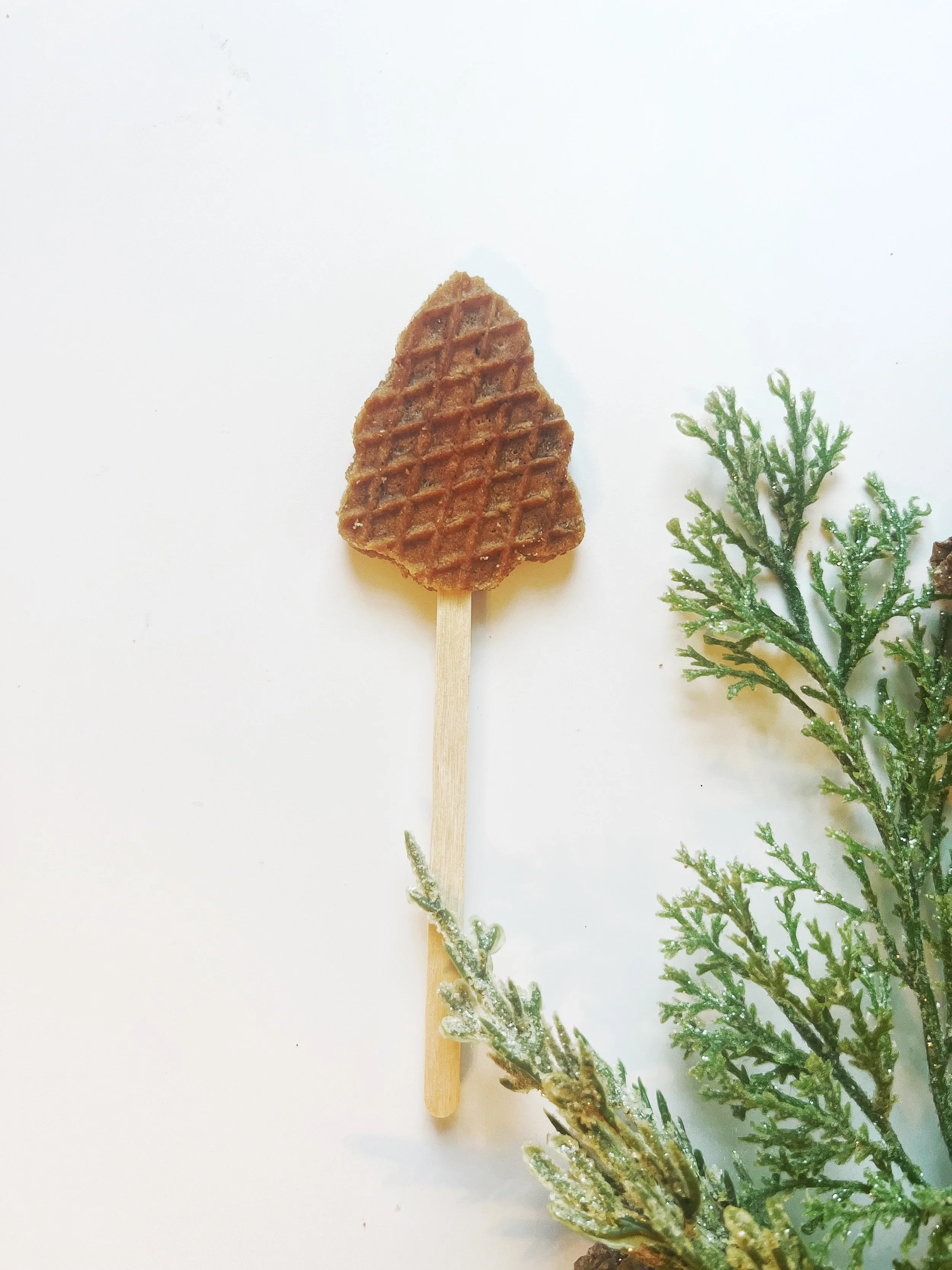 Trad Christmas Tree Lollipop.jpg