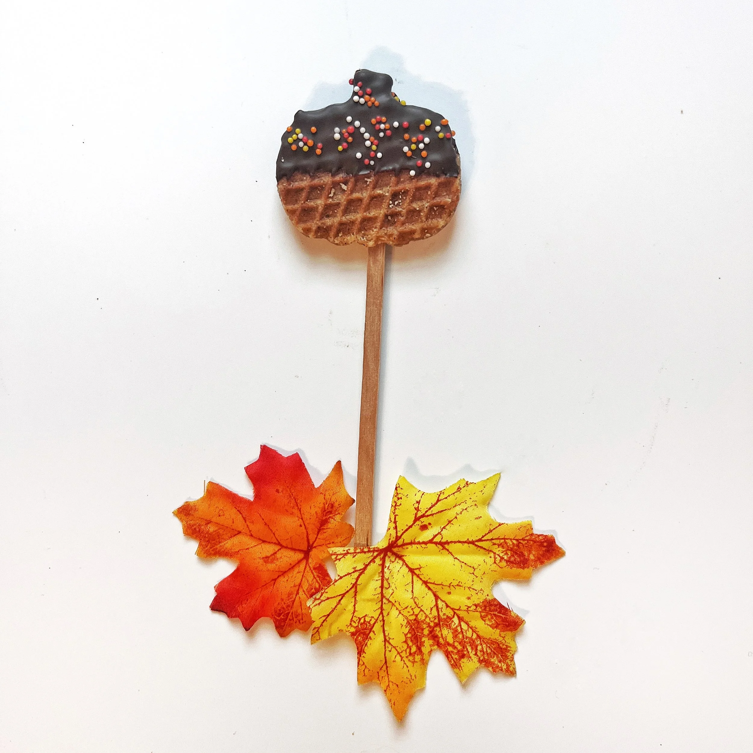 Chocolate Sprinkle Pumpkin Lollipop.jpg