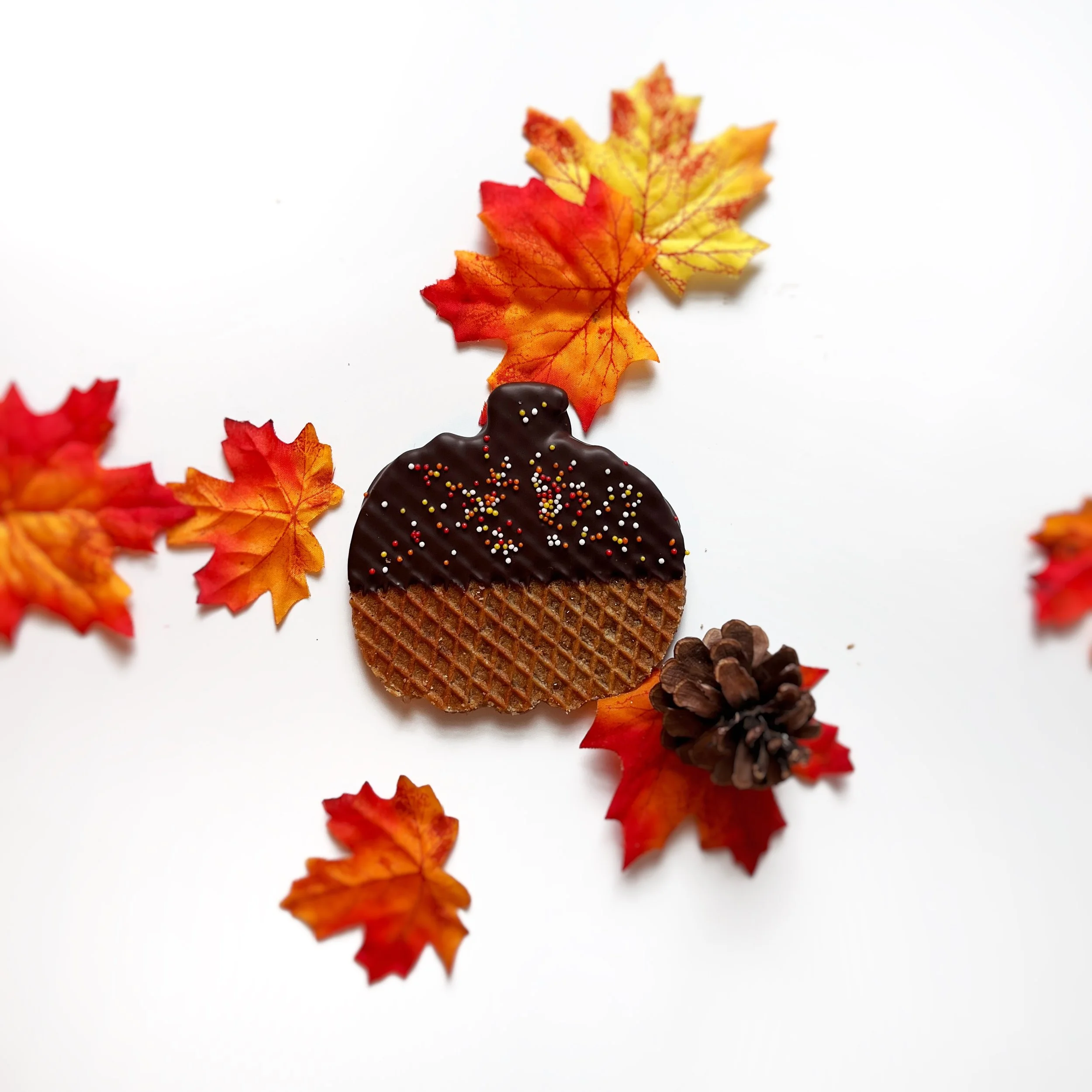 Chocolate Sprinkle Pumpkin.jpg