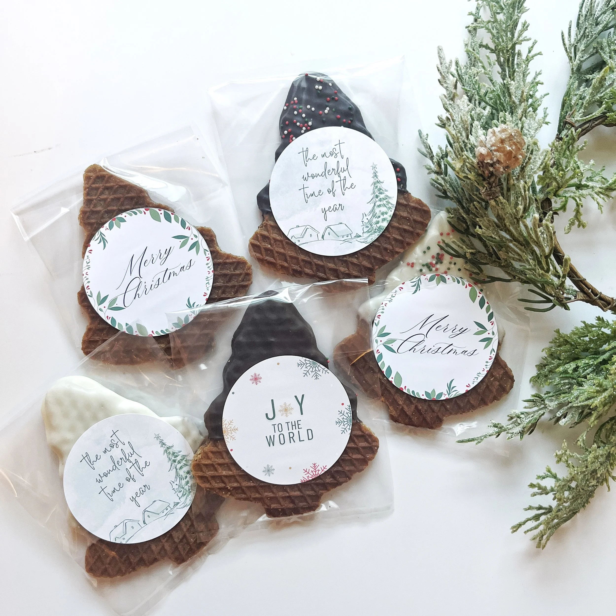 Square Group Tree Stroopiegrams.jpg