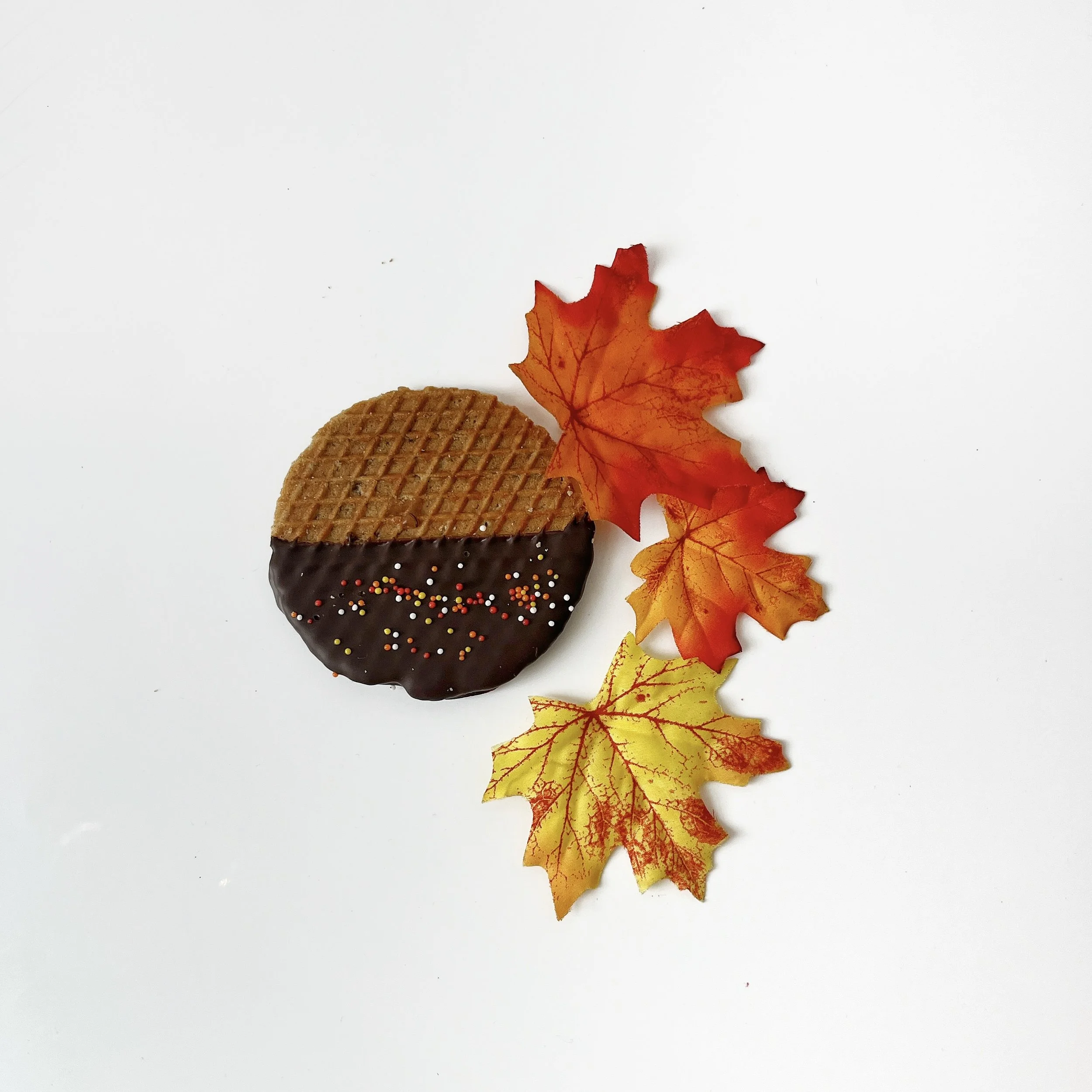 Seasonal Sprinkle Square.jpg