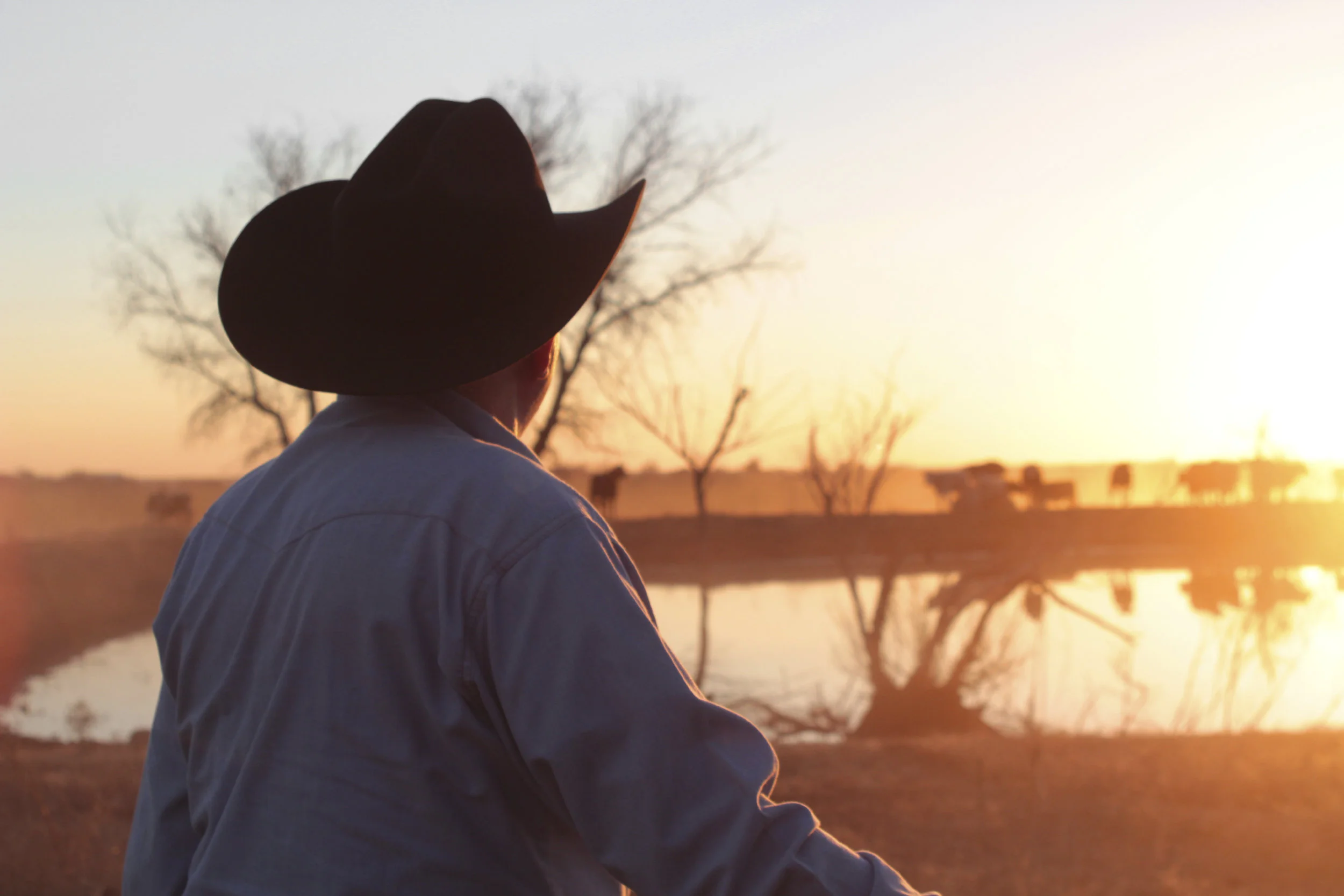 Louisiana Farm Bureau Convention Gives LSU Ag Leaders a Place to Grow and Give