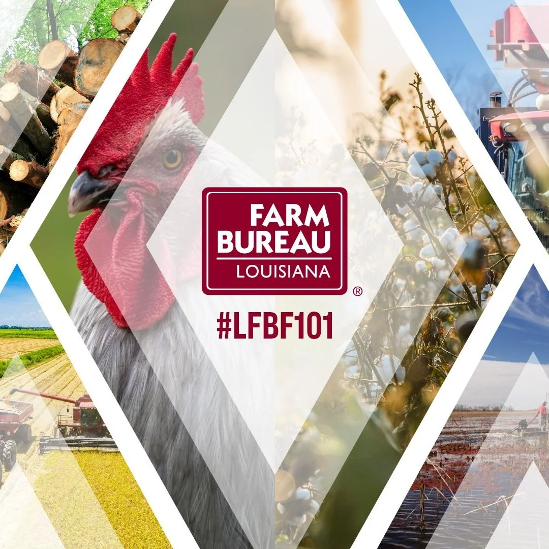 News — Louisiana Farm Bureau Federation 102nd Annual Convention