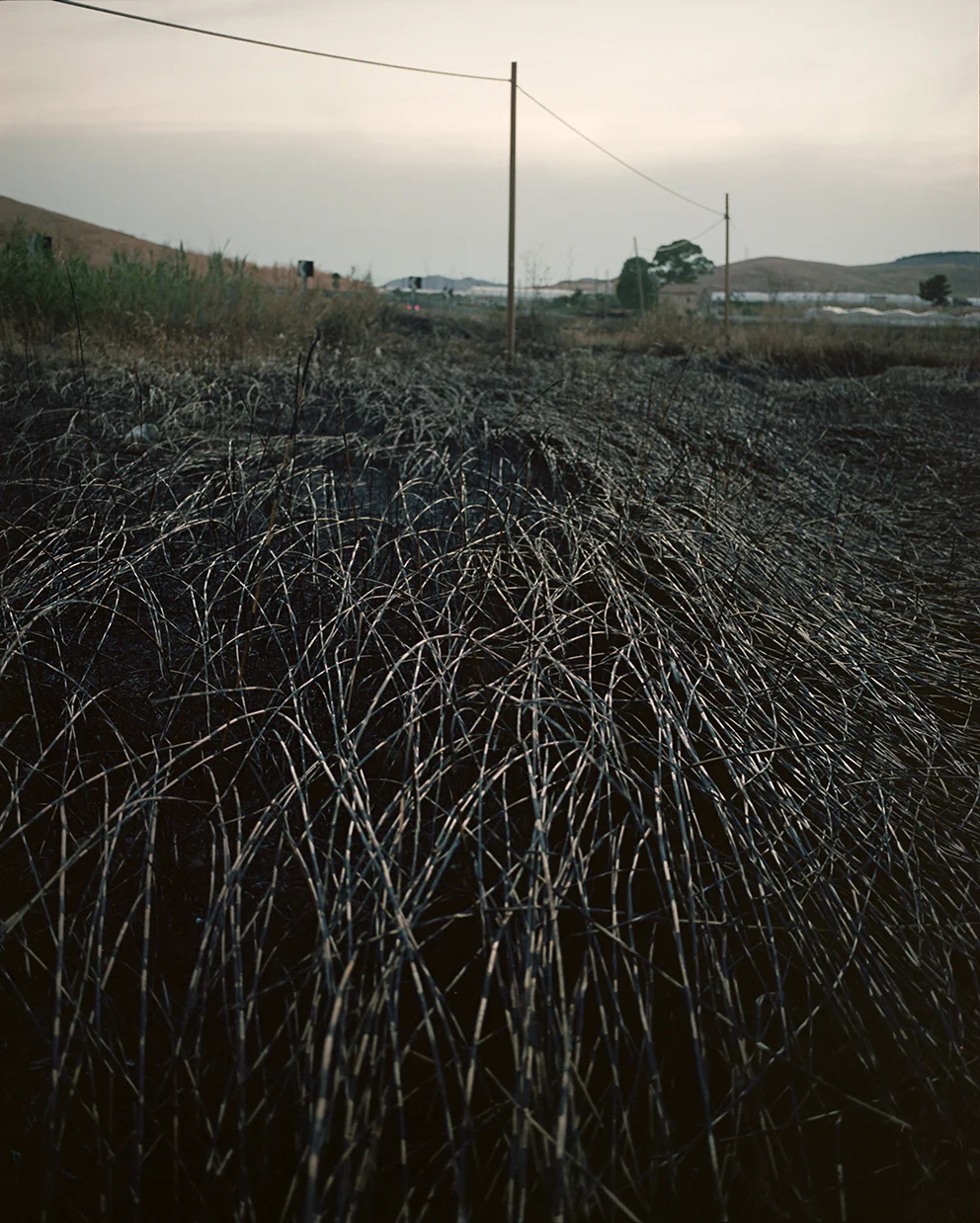 Licata - Gela