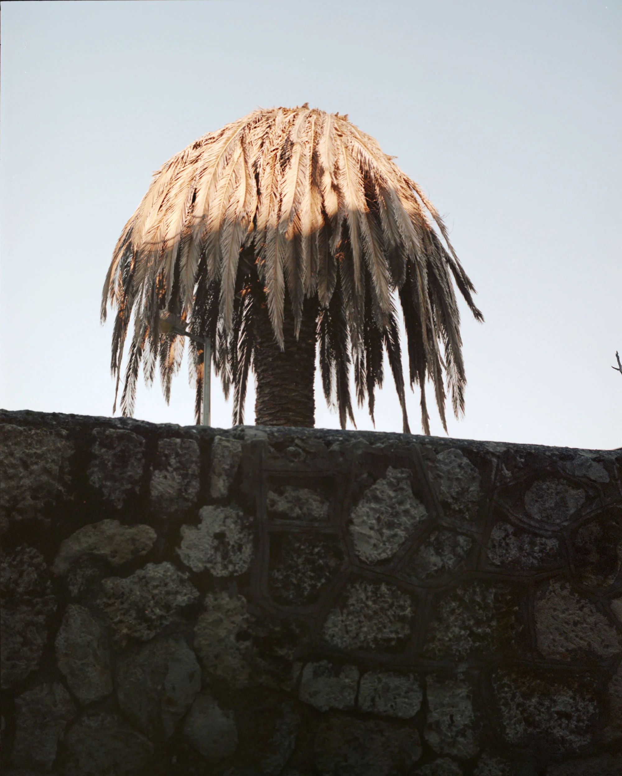 Licata
