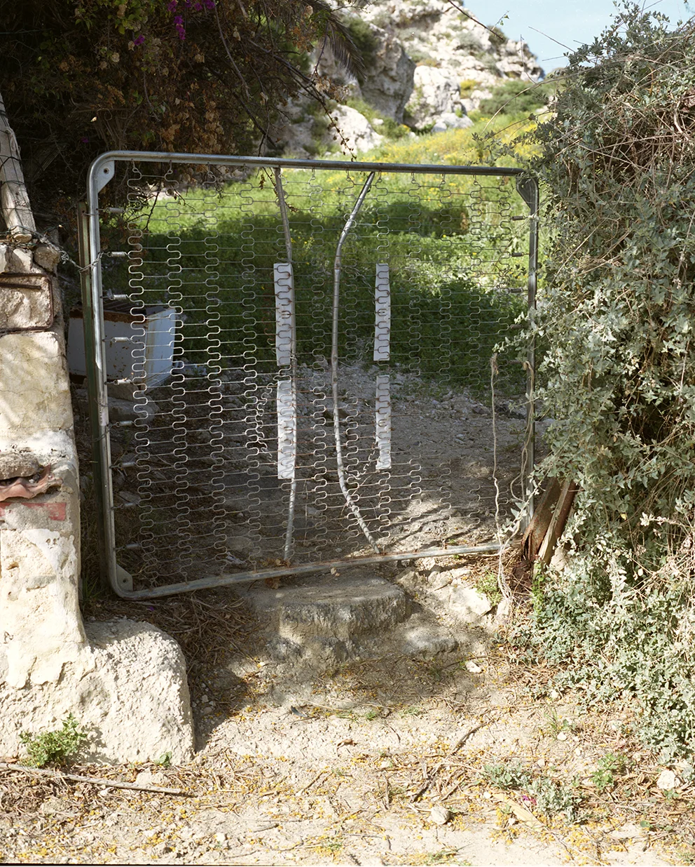Licata