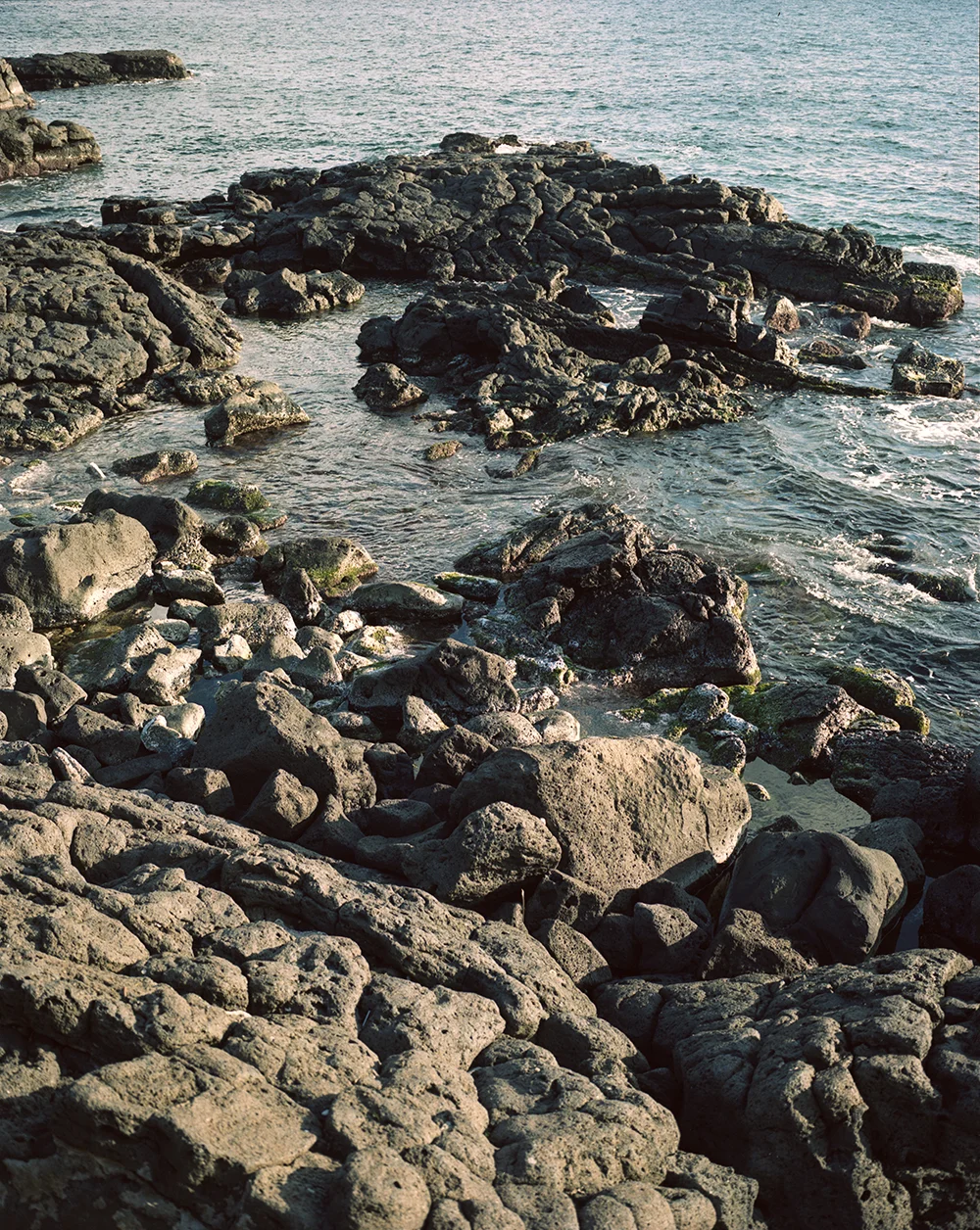 Catania