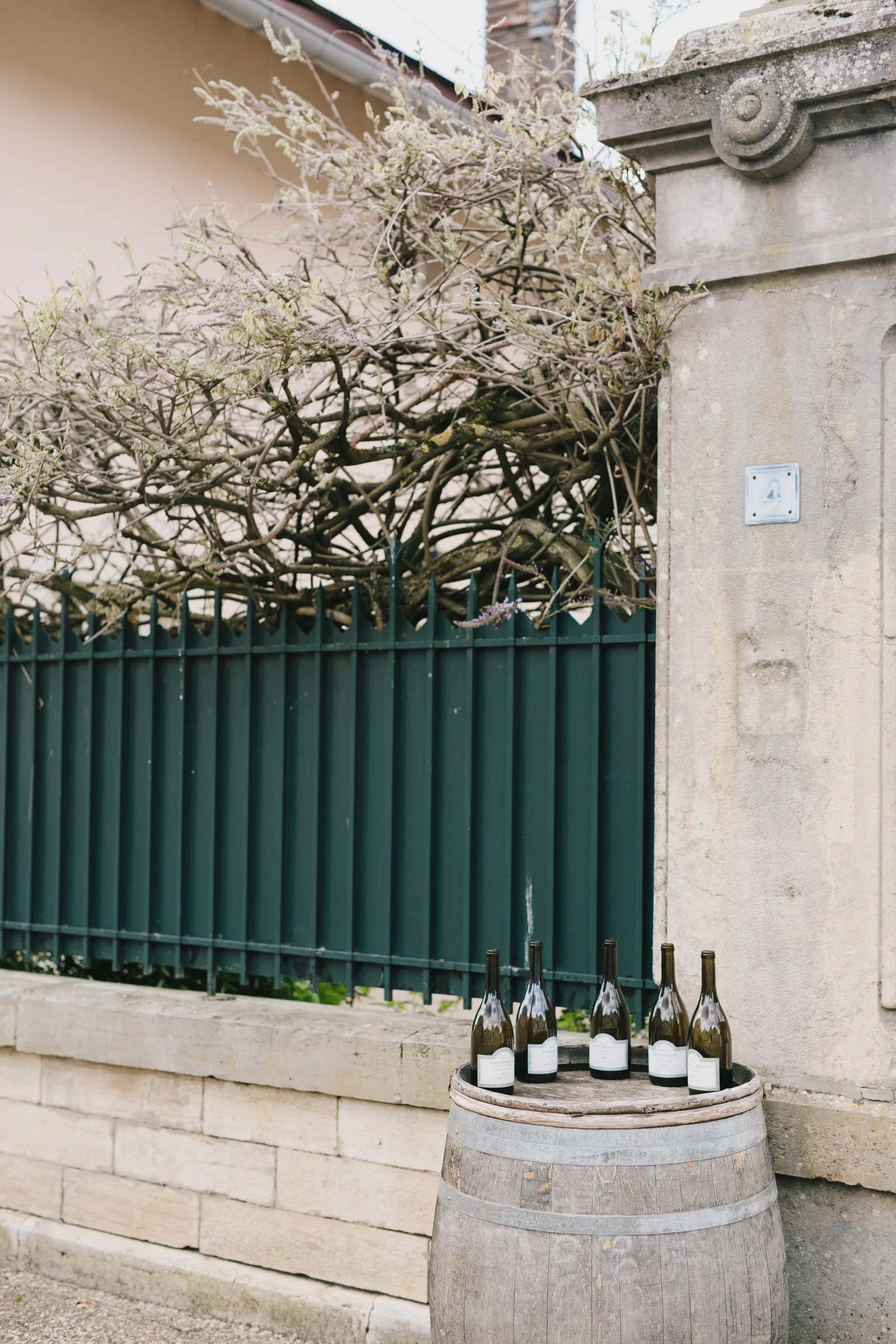 _côte-de-beaune-11.jpg