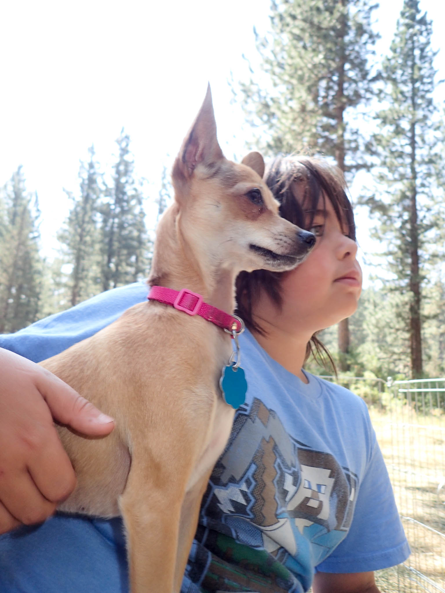 Camping at Grover Hot Springs State Park