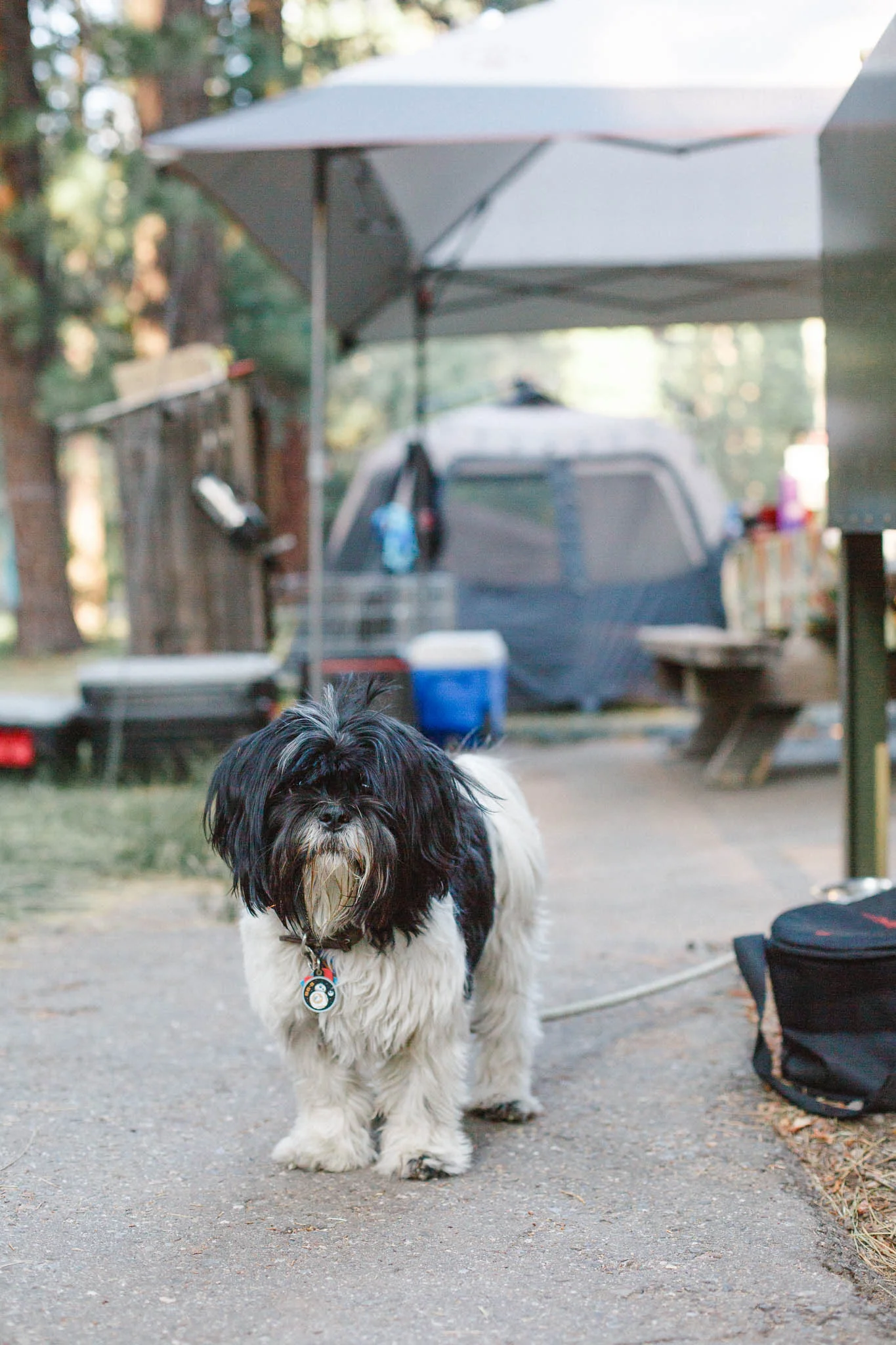 Camping at Grover Hot Springs State Park