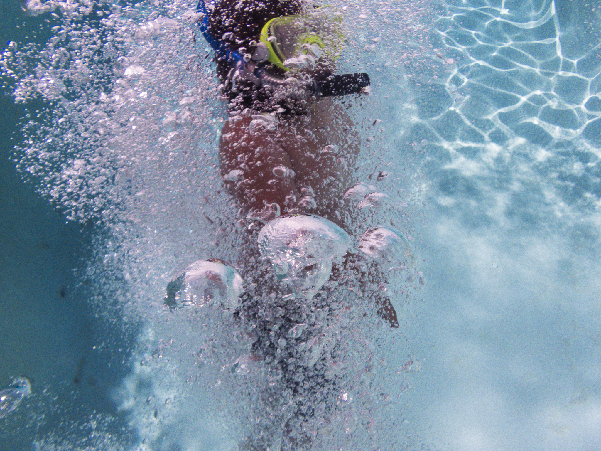 augustunderwaterLenkalandAll Rights Reserved-4.jpg