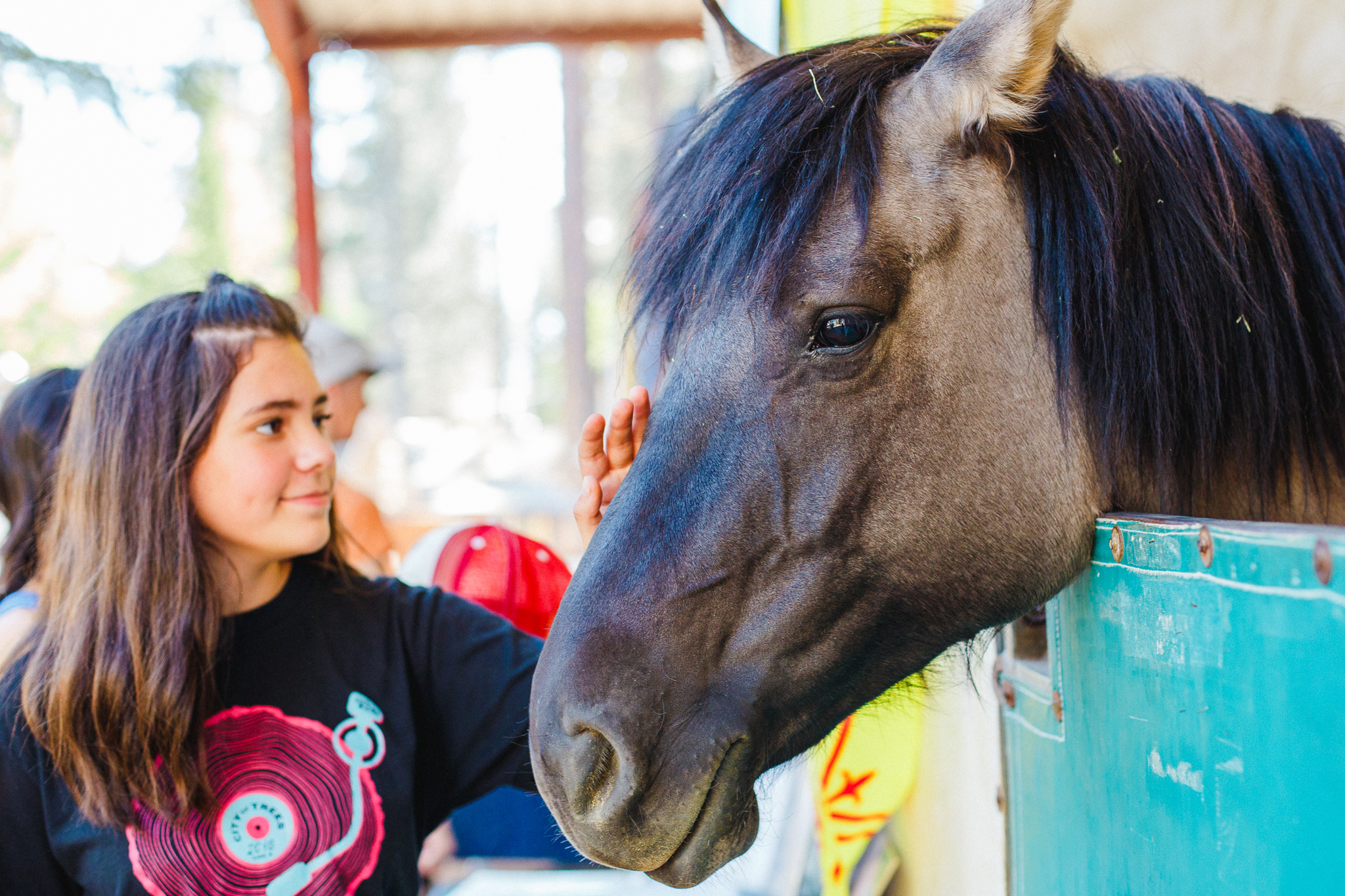 Draft Horse Classic