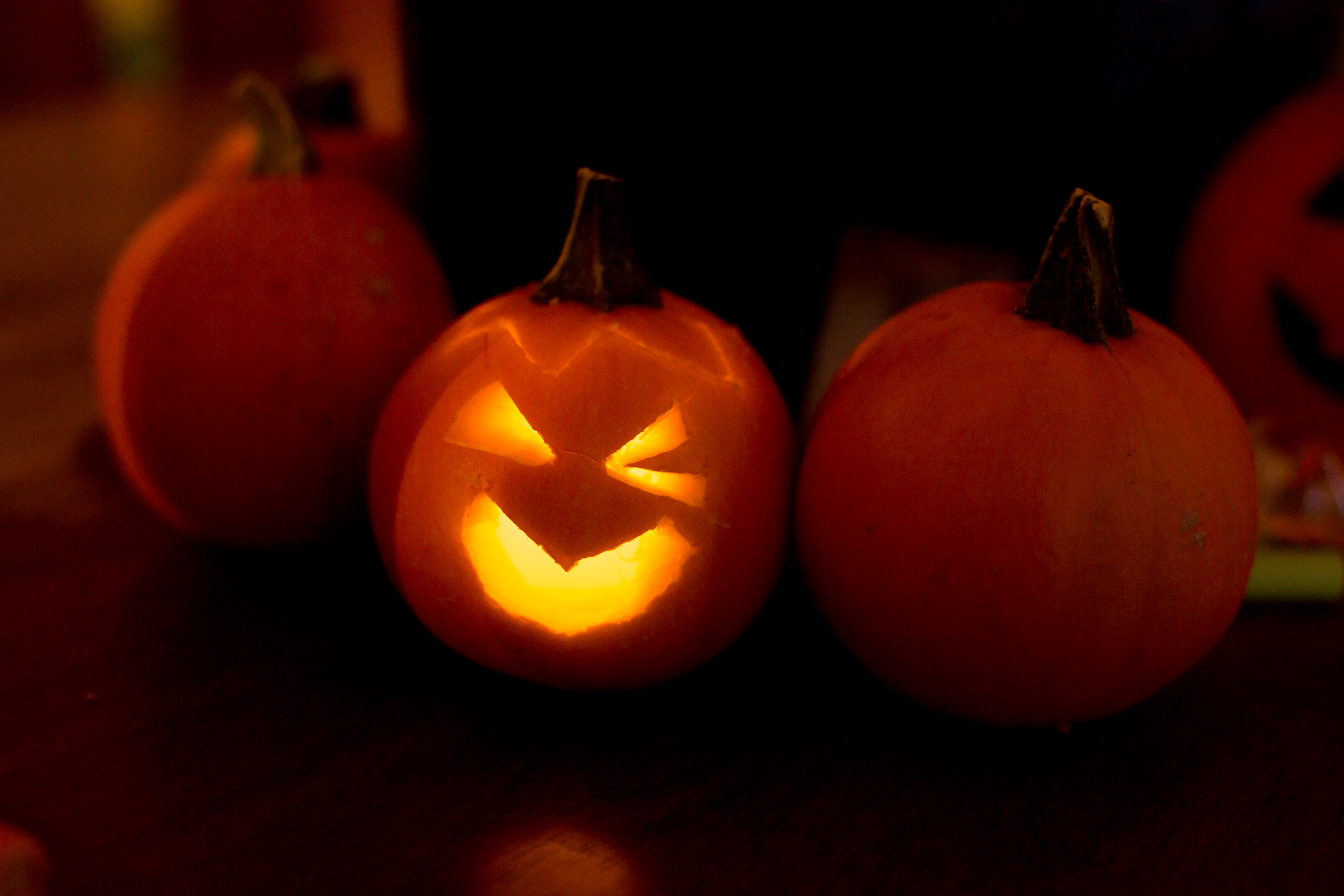 Nevada City Halloween | Lenkaland Photography