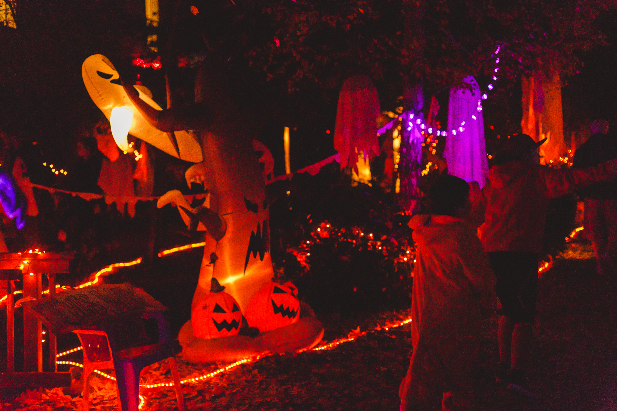 Nevada City Halloween | Lenkaland Photography