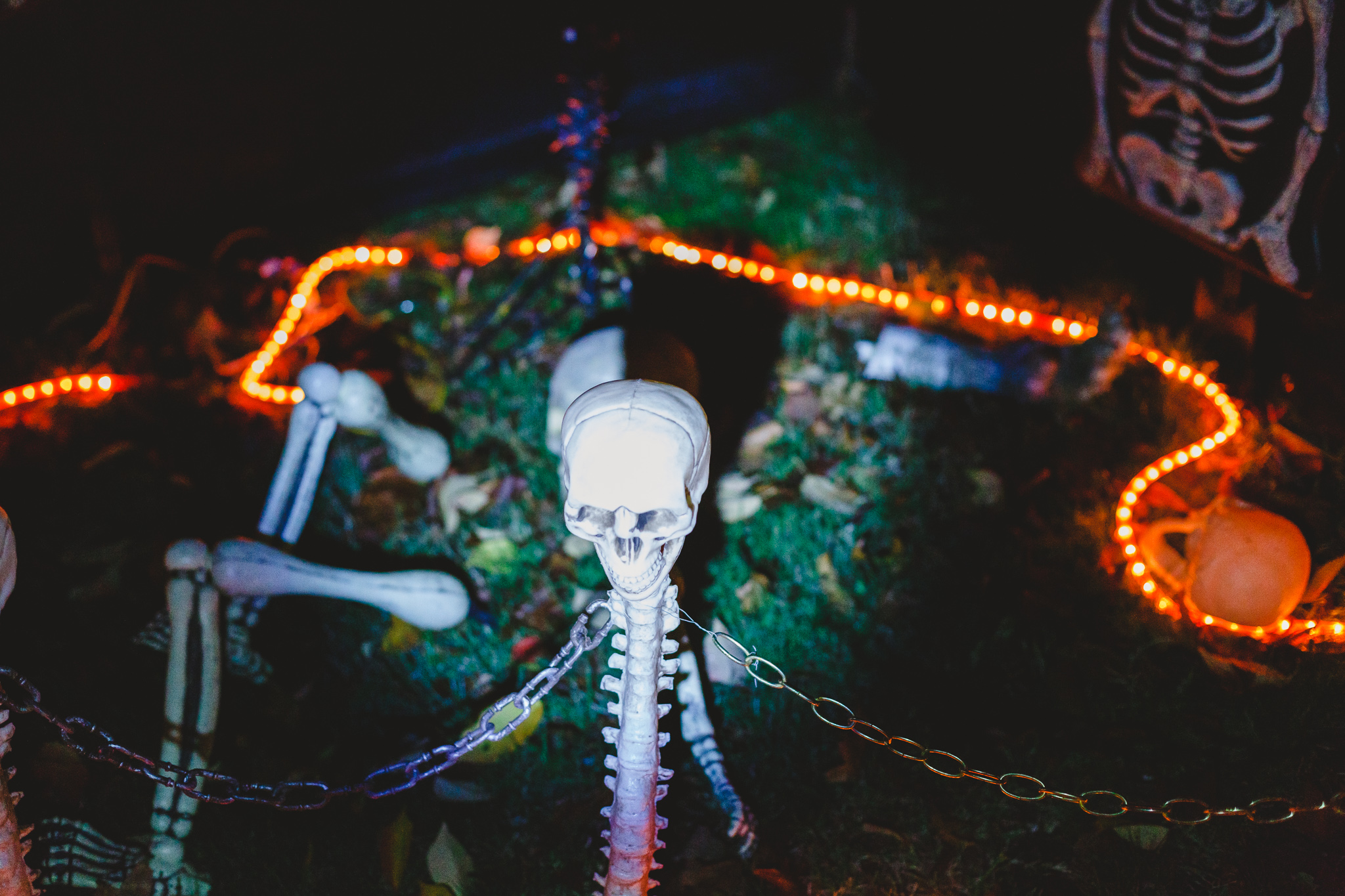 Nevada City Halloween | Lenkaland Photography