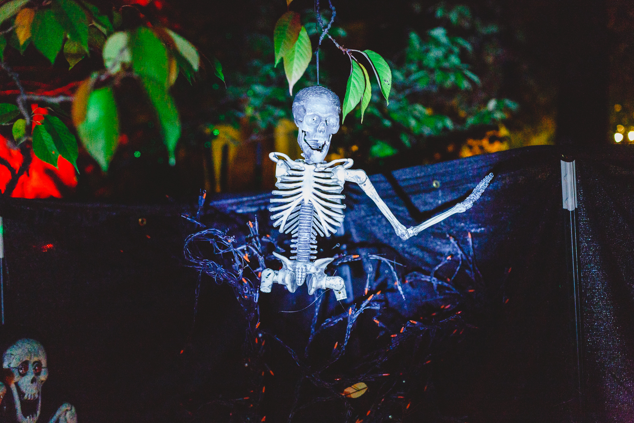 Nevada City Halloween | Lenkaland Photography