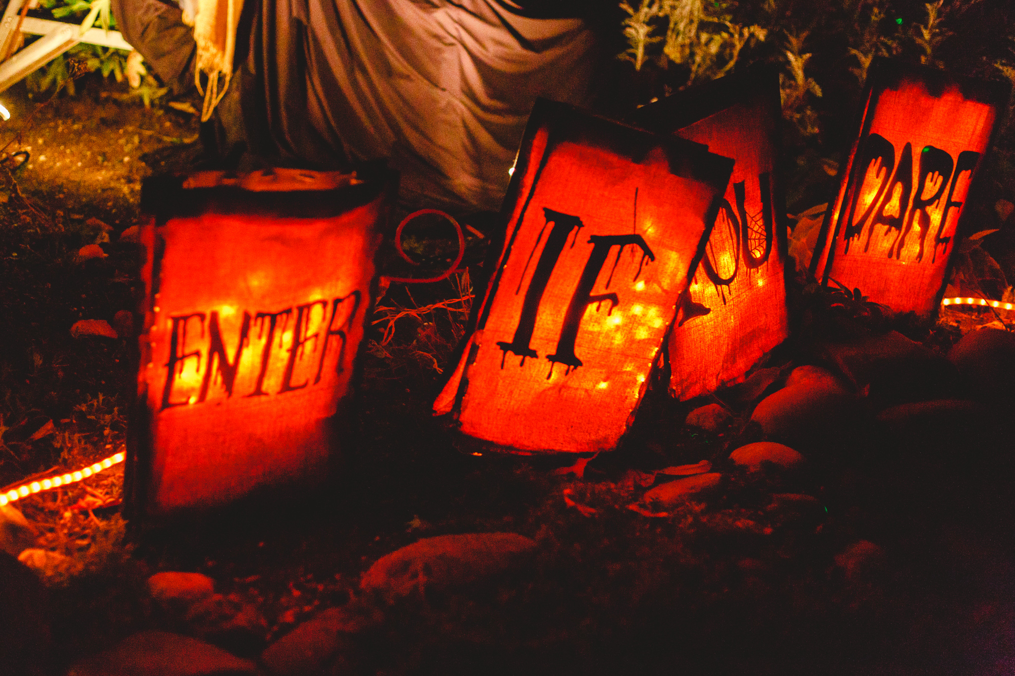 Nevada City Halloween | Lenkaland Photography