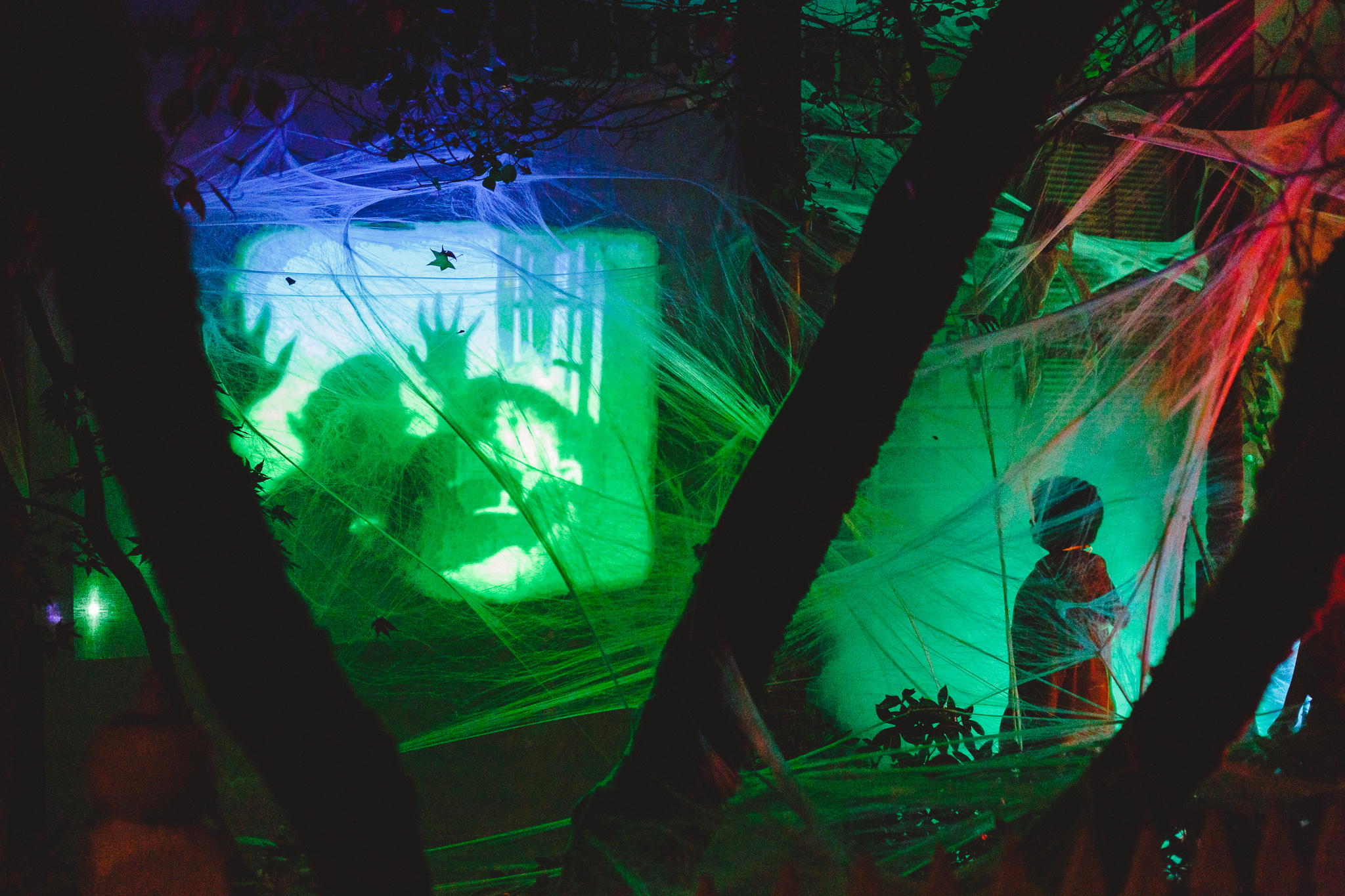 Nevada City Halloween | Lenkaland Photography